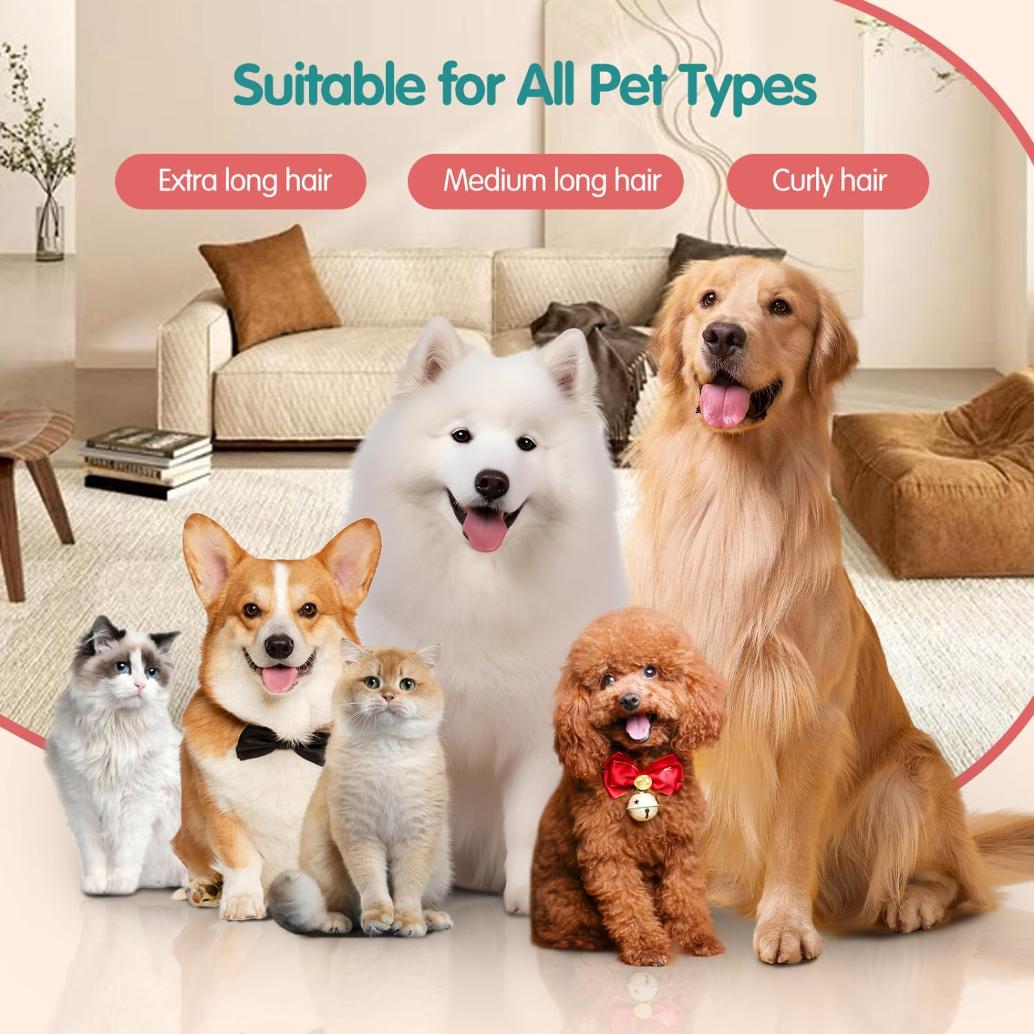 Variedad de perros y gatos, incluyendo un golden retriever, corgi y otros, frente a una habitación.