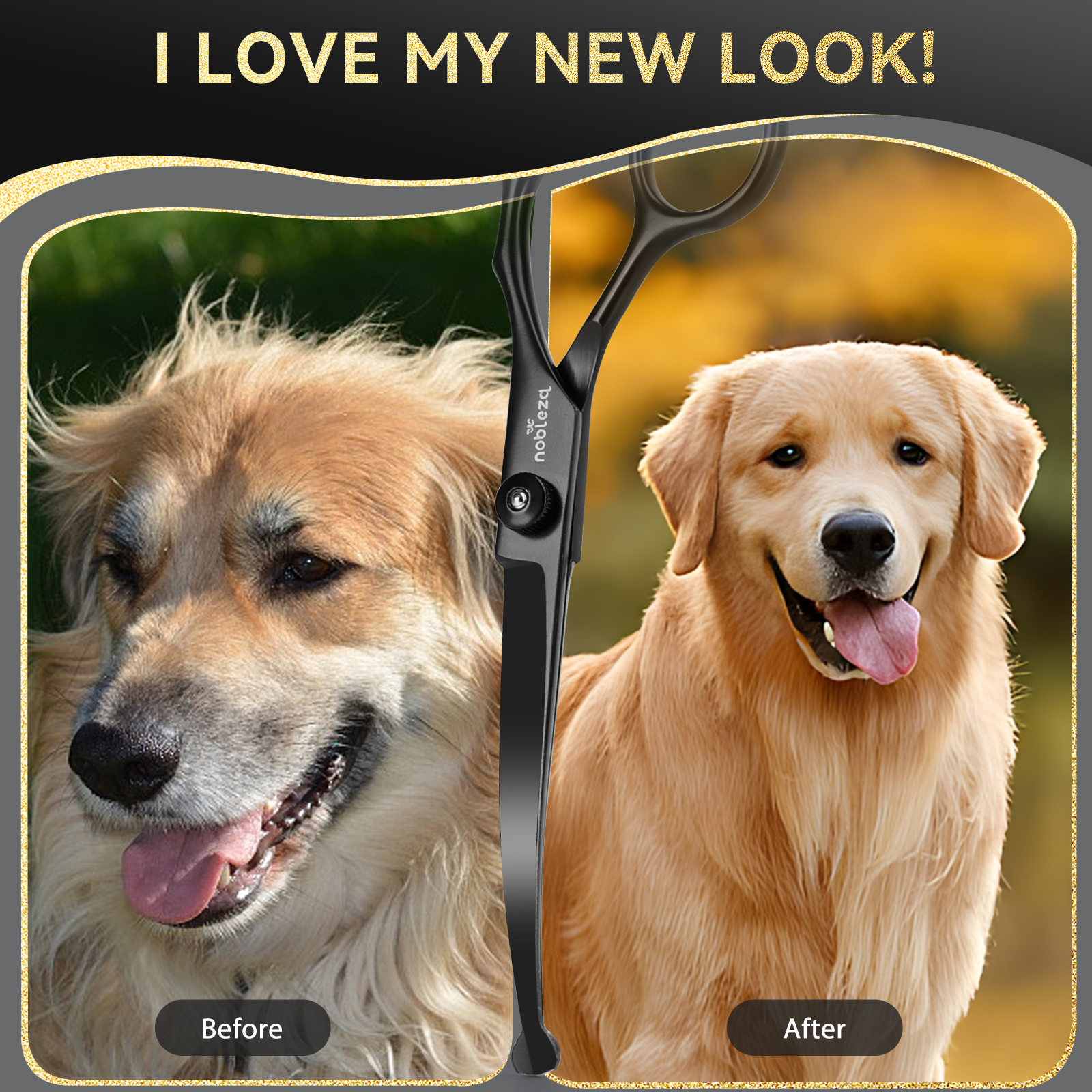 Una imagen de antes y después de una sesión de aseo canino. La derecha muestra un Golden Retriever acicalado.