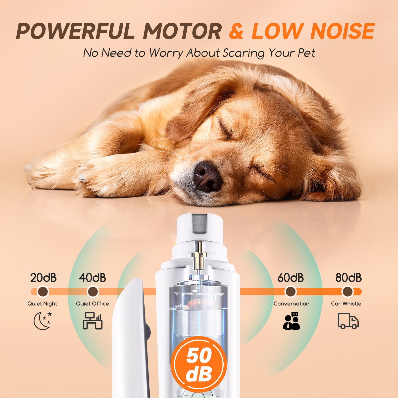 Perro durmiendo, con diagrama de niveles de sonido de 20dB a 80dB. Marcado 50dB.