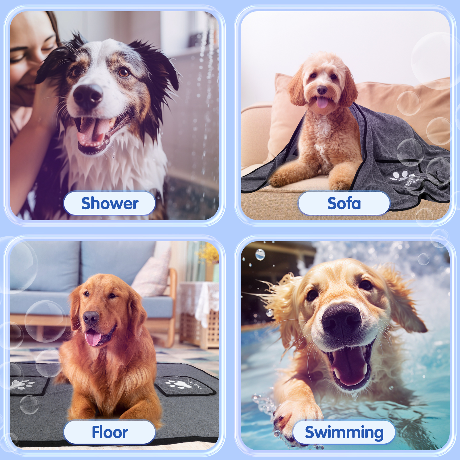 Cuatro imágenes de perros: duchándose, en un sofá, en el suelo y nadando, con etiquetas de texto.