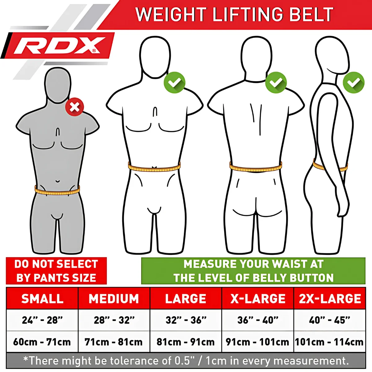 Diagram shows body sizes for a weight lifting belt. Sizes are small, medium, large, x-large, and 2x-large.