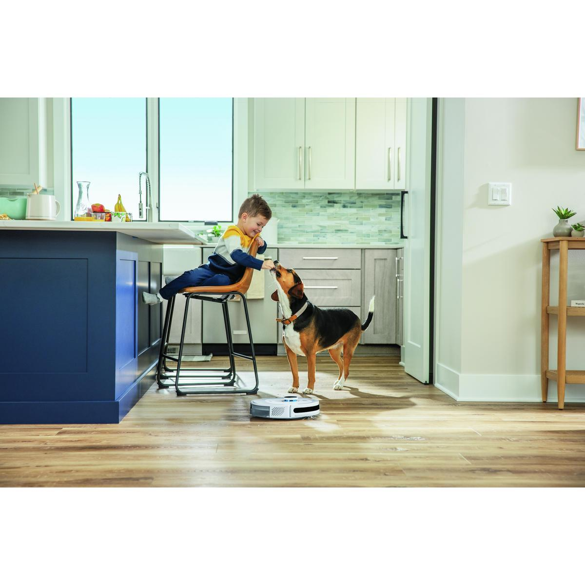 Un garçon sur un tabouret donne des friandises à un chien. Un aspirateur robot est au sol.