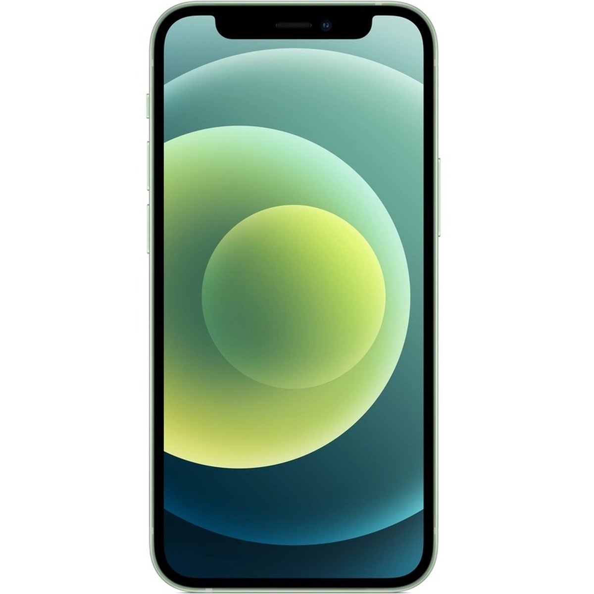 iPhone verde, vista frontale. Display acceso, doppie fotocamere e bordo nero.