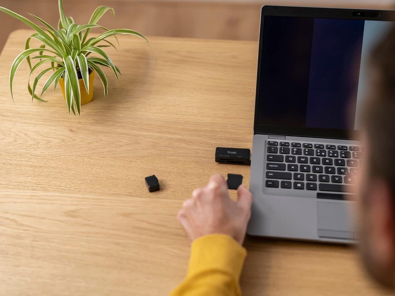 Osoba podłączająca czytnik kart Trust do laptopa na drewnianym biurku. Roślina w doniczce.