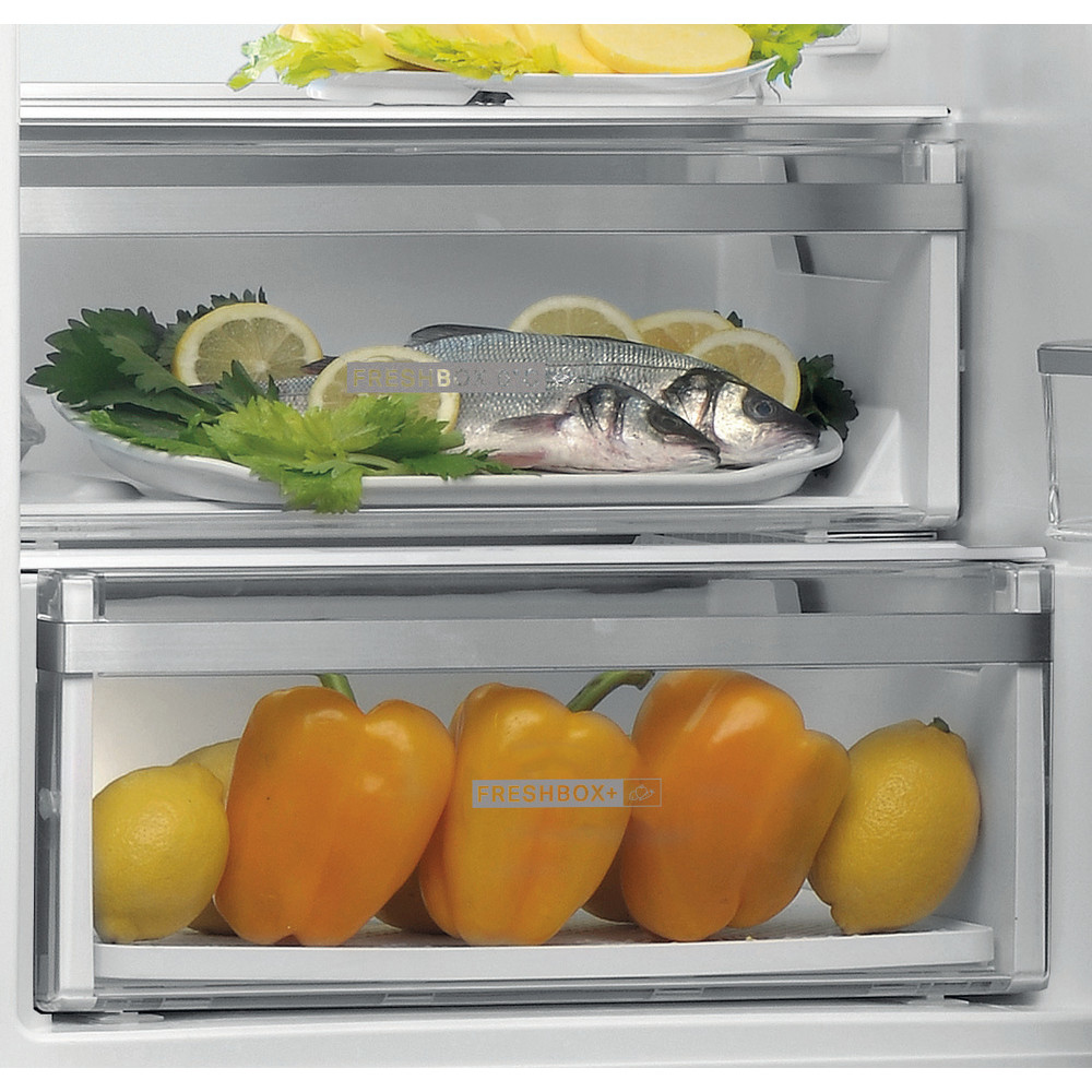 Dentro de una nevera: pescado en un plato con limones y apio, pimientos naranjas y limones en cajones.