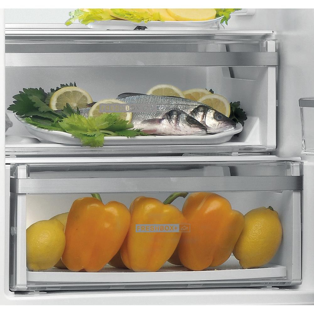 Dentro de la nevera, pescado, limones y pimientos en los estantes.
