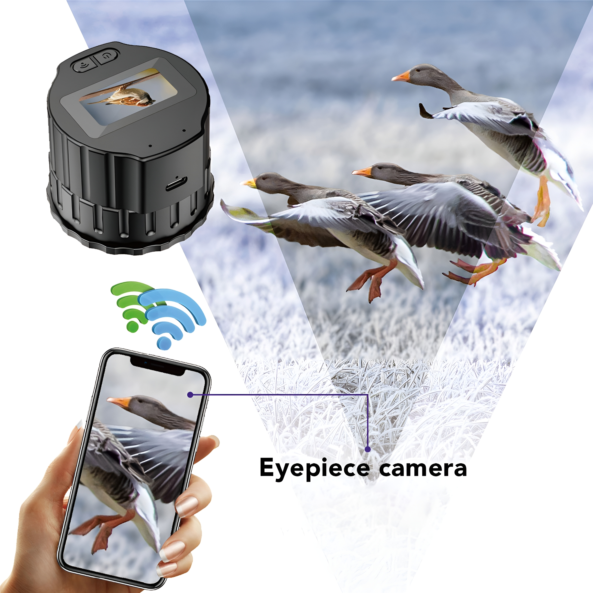Ein Gerät zeigt einen Vogel, verbunden mit einem Telefon. Gänse fliegen im Hintergrund.