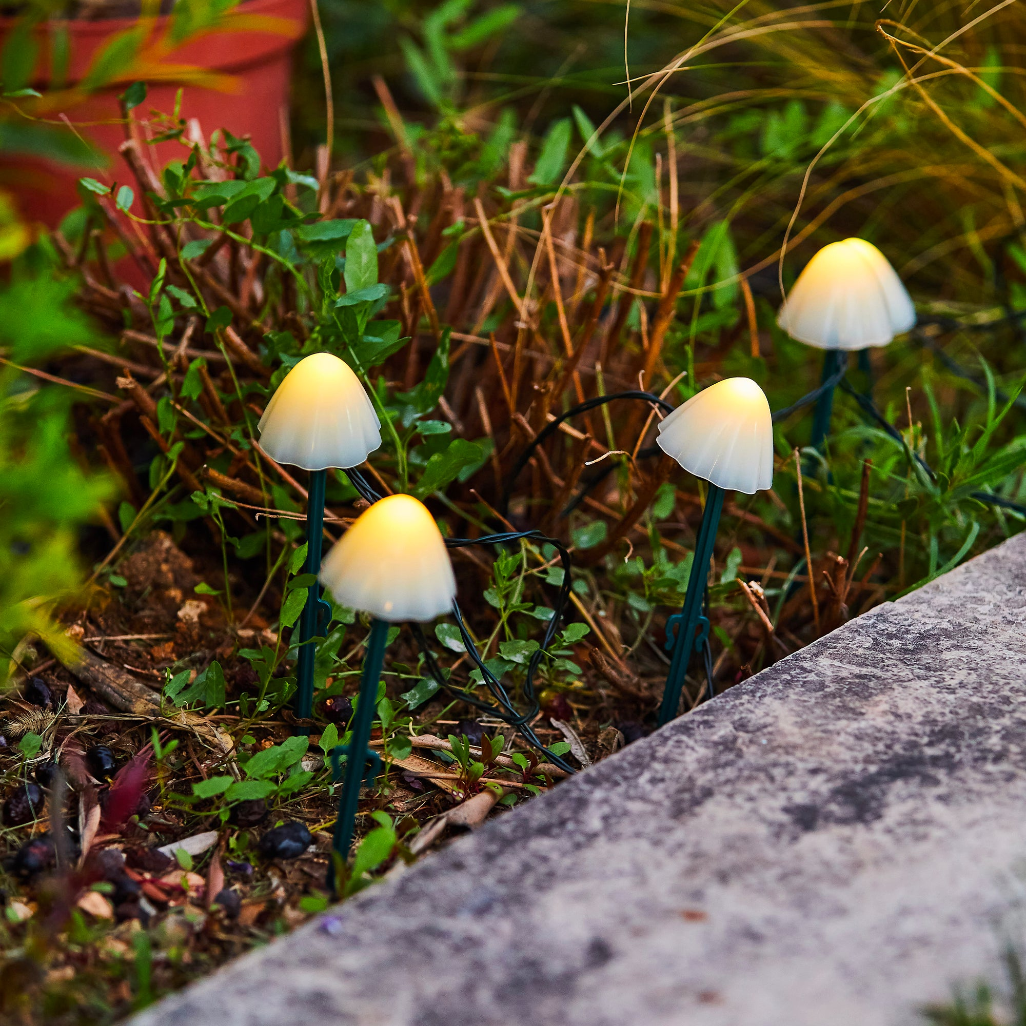 Vier leuchtende pilzförmige Lichter in einem Garten, mit grünen Pflanzen und einem Steinrand.