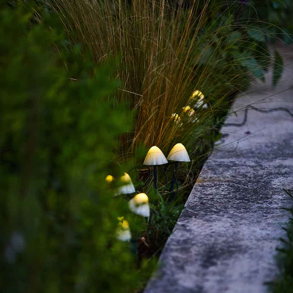 Pilze mit Lichtern im Garten, umgeben von Pflanzen und einem Weg.