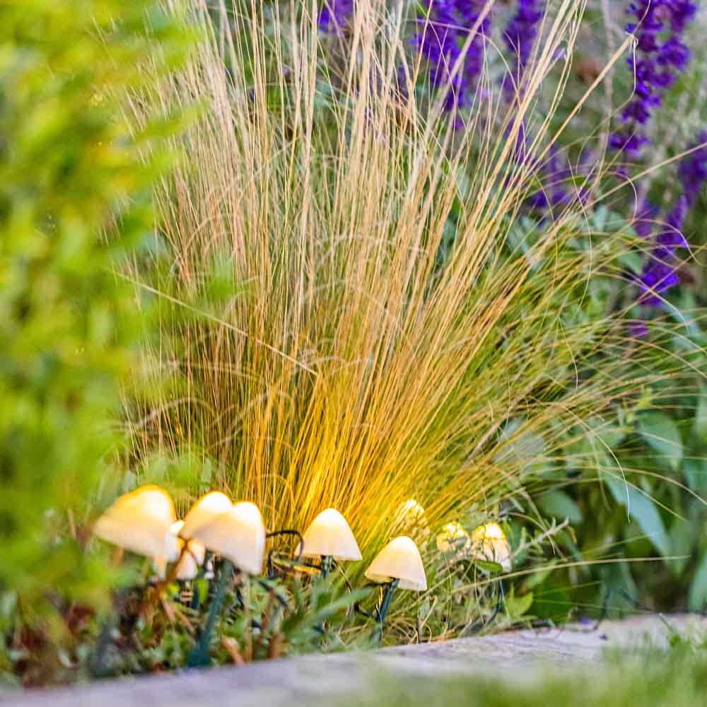 Gartenszene mit pilzförmigen Lichtern vor hohem Gras und lila Blumen.