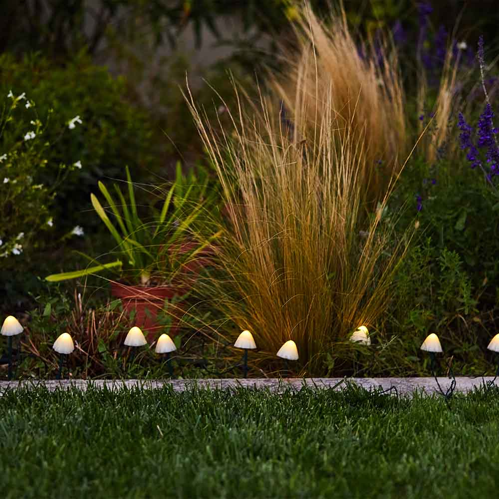 Garten mit Pilzlichtern entlang eines Weges, hohe Gräser und Pflanzen im Hintergrund.