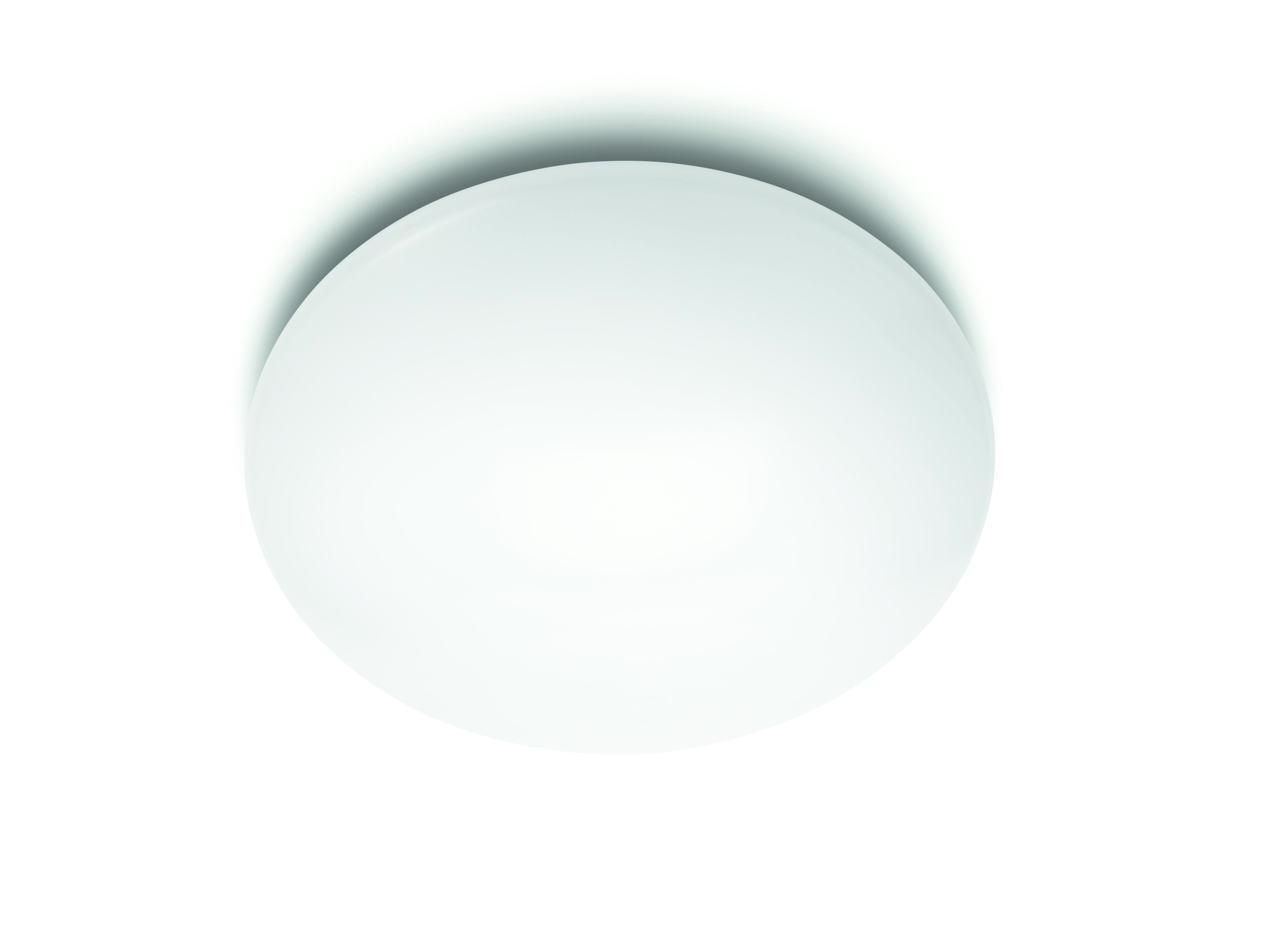 Luz de techo ovalada blanca. Superficie lisa y sencilla con sombra leve sobre fondo blanco.