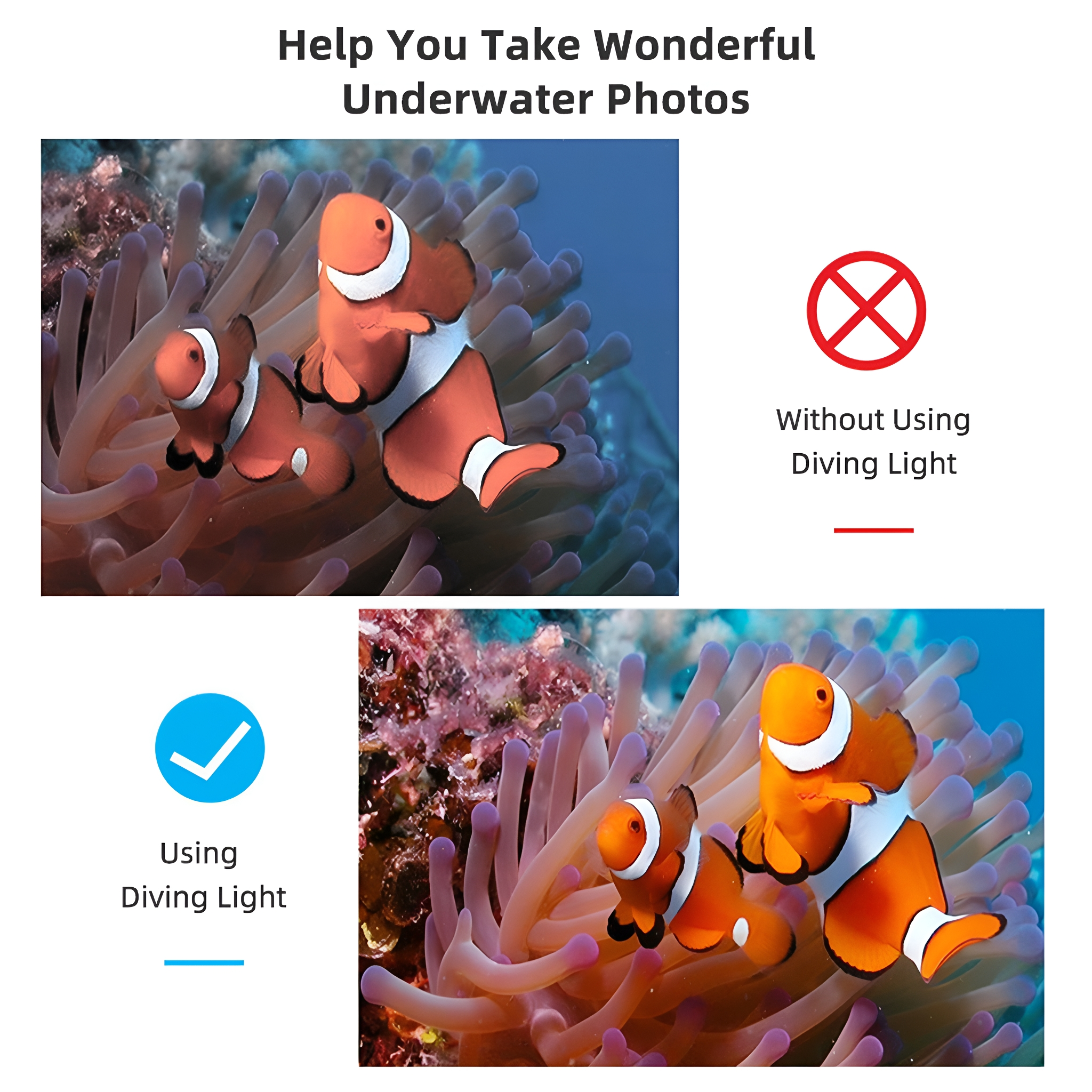 Bilder, die Clownfische mit und ohne Tauchlicht zeigen, mit Text: Helfen Sie Ihnen, wundervolle Unterwasserfotos zu machen.