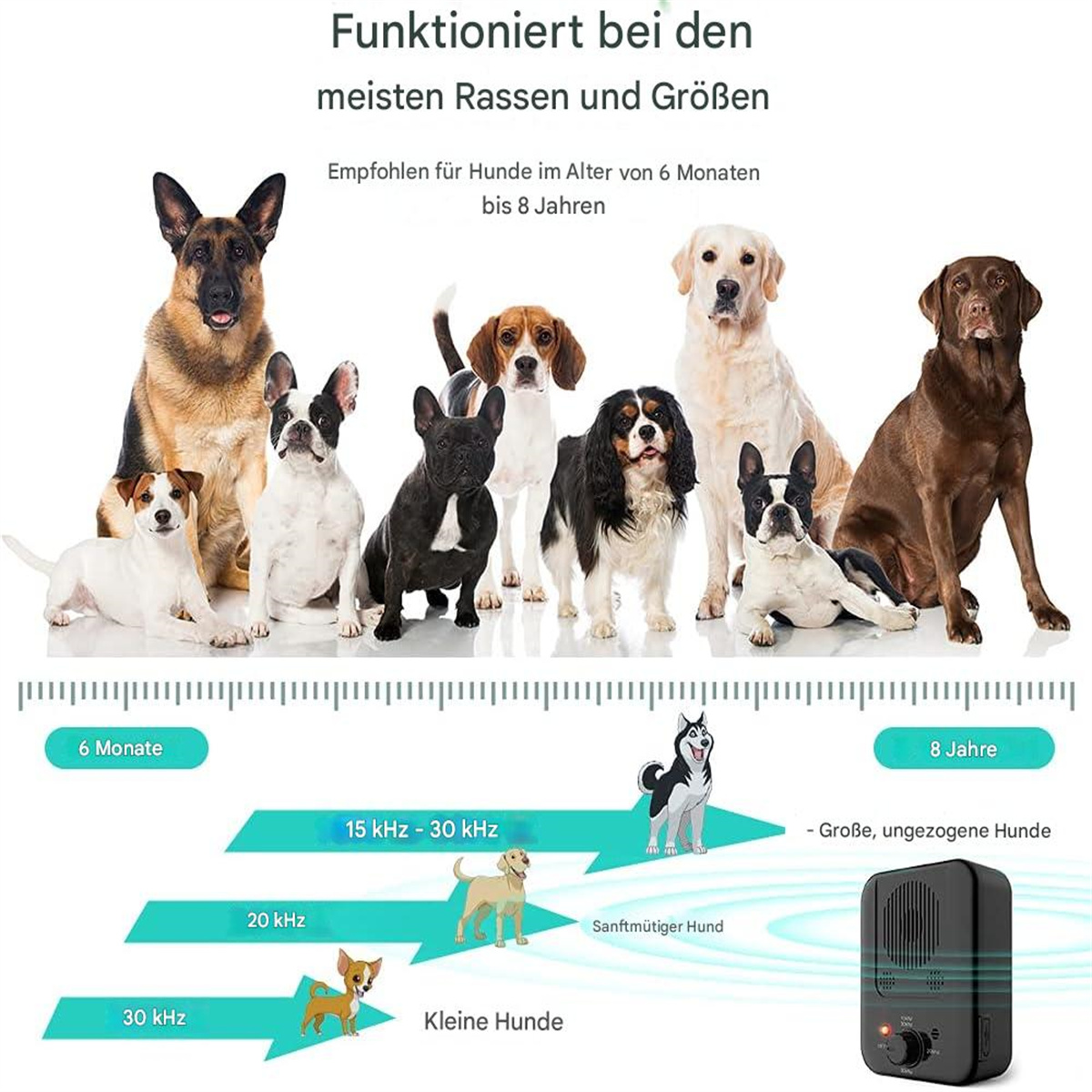 Eine Grafik, die Hunde mit Schallfrequenzen zeigt. Verschiedene Rassen haben unterschiedliche Hörbereiche.