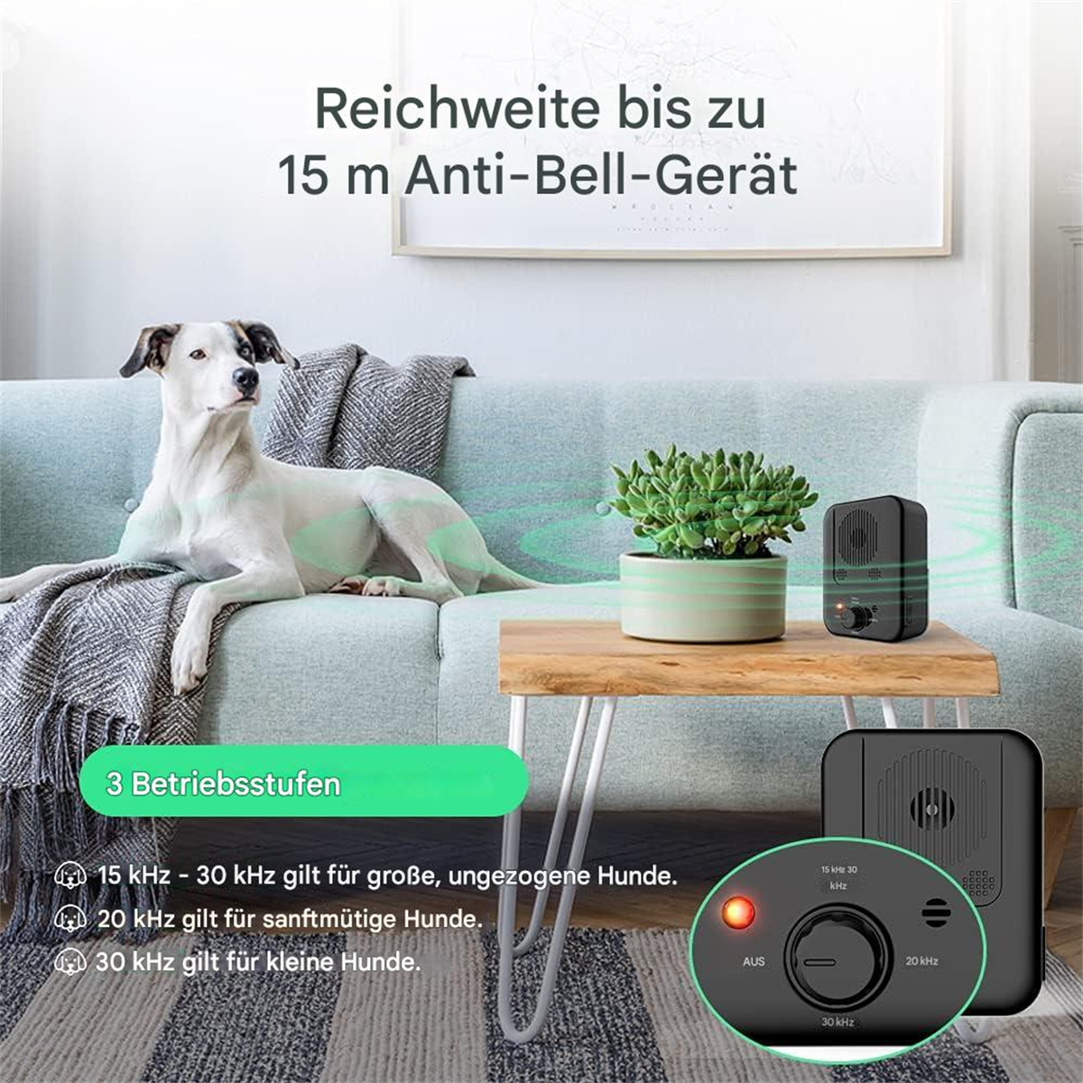 Hund auf Sofa, Gerät auf Tisch, Text über Gerät. Innenraum.