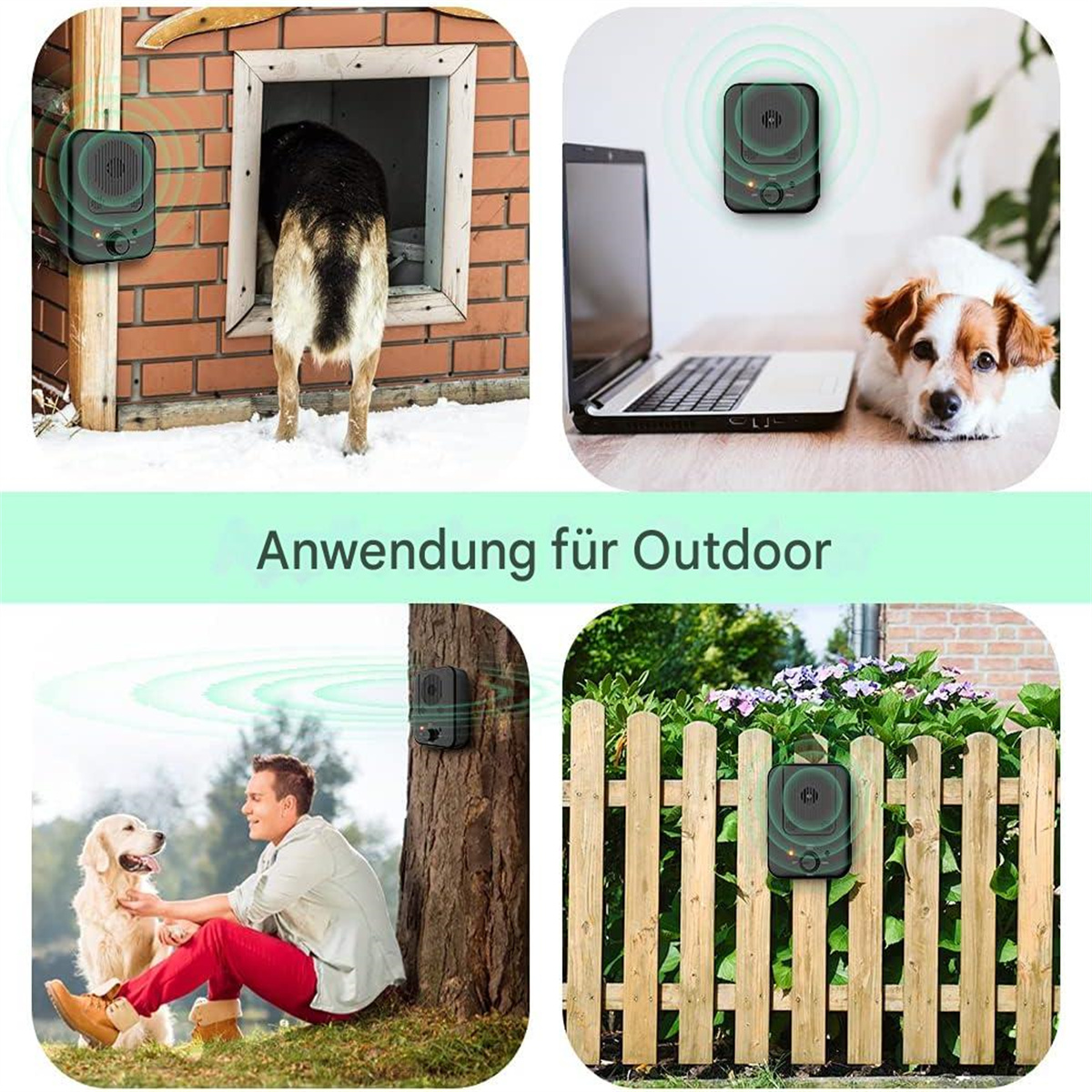 Mehrere Szenen: Hund, Mann und Gerät zur Schädlingsbekämpfung im Freien.