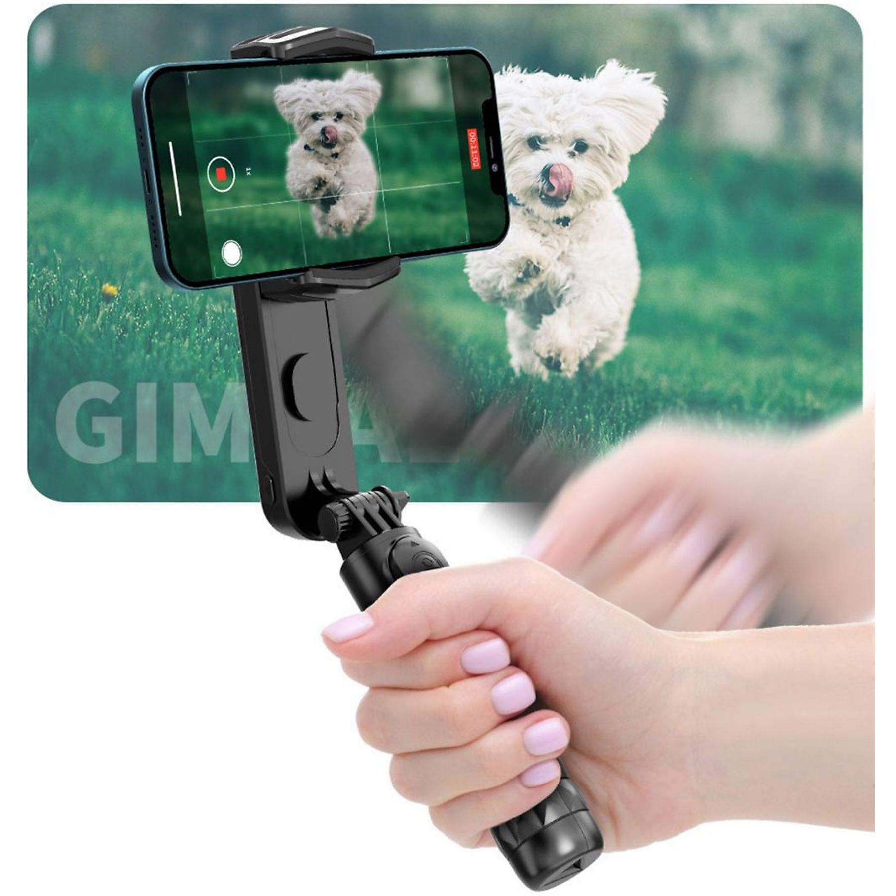Person hält Telefon mit Selfie-Stick, Hund springt im Hintergrund. Grünes Gras, klarer Himmel.