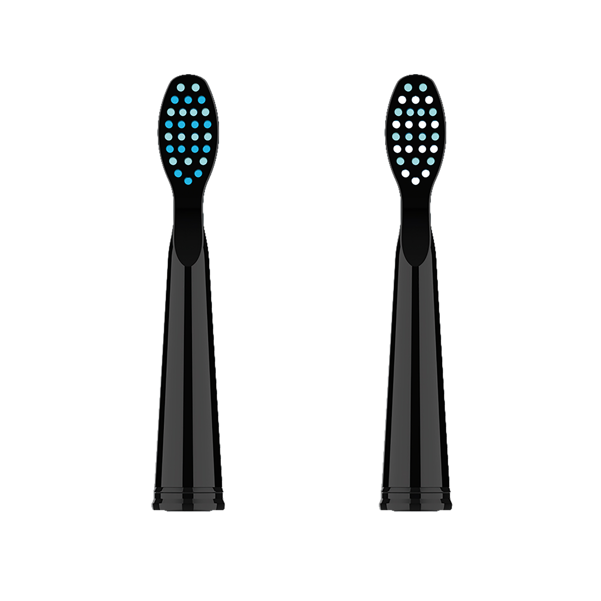 Dos cabezales de cepillo de dientes eléctrico negros con cerdas azules y blancas.