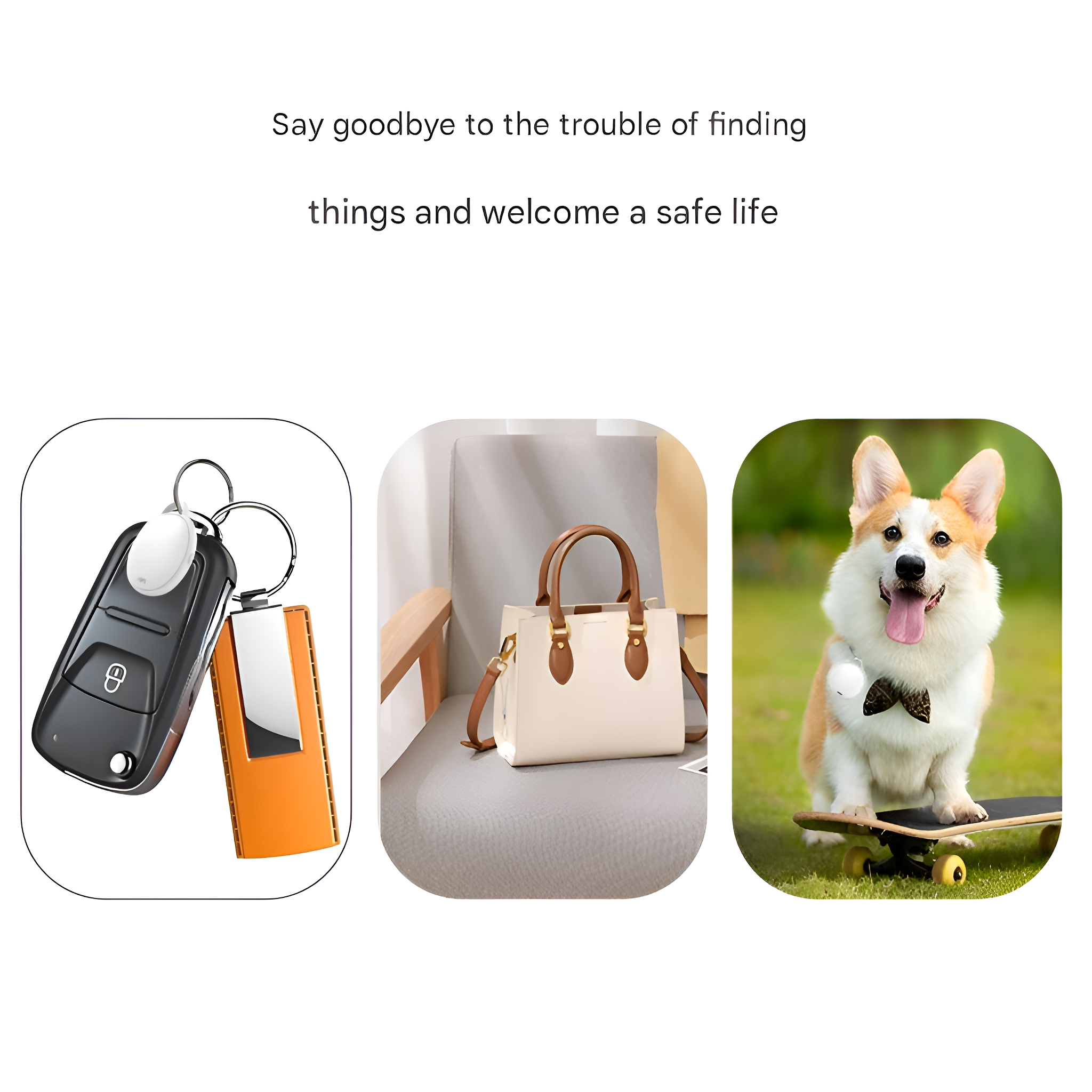 Drei Bilder: Schlüssel, Handtasche und Hund auf Skateboard, symbolisieren Sicherheit.