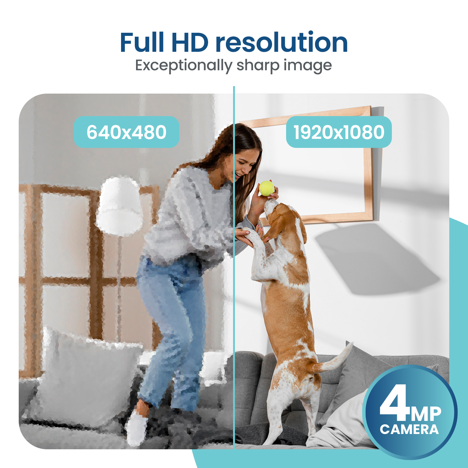 Eine Frau und ein Hund. Die Frau spielt mit dem Hund. Die linke Seite zeigt ein Bild mit geringerer Auflösung.