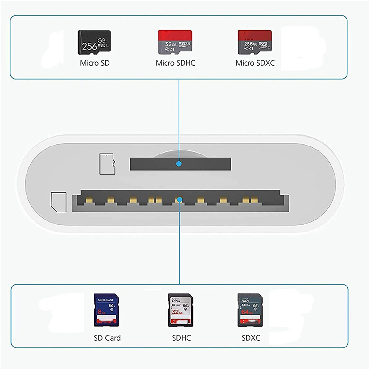Micro-SD-Karten und SD-Karten werden mit einem Kartenleser angezeigt. Die Karten haben unterschiedliche Größen.