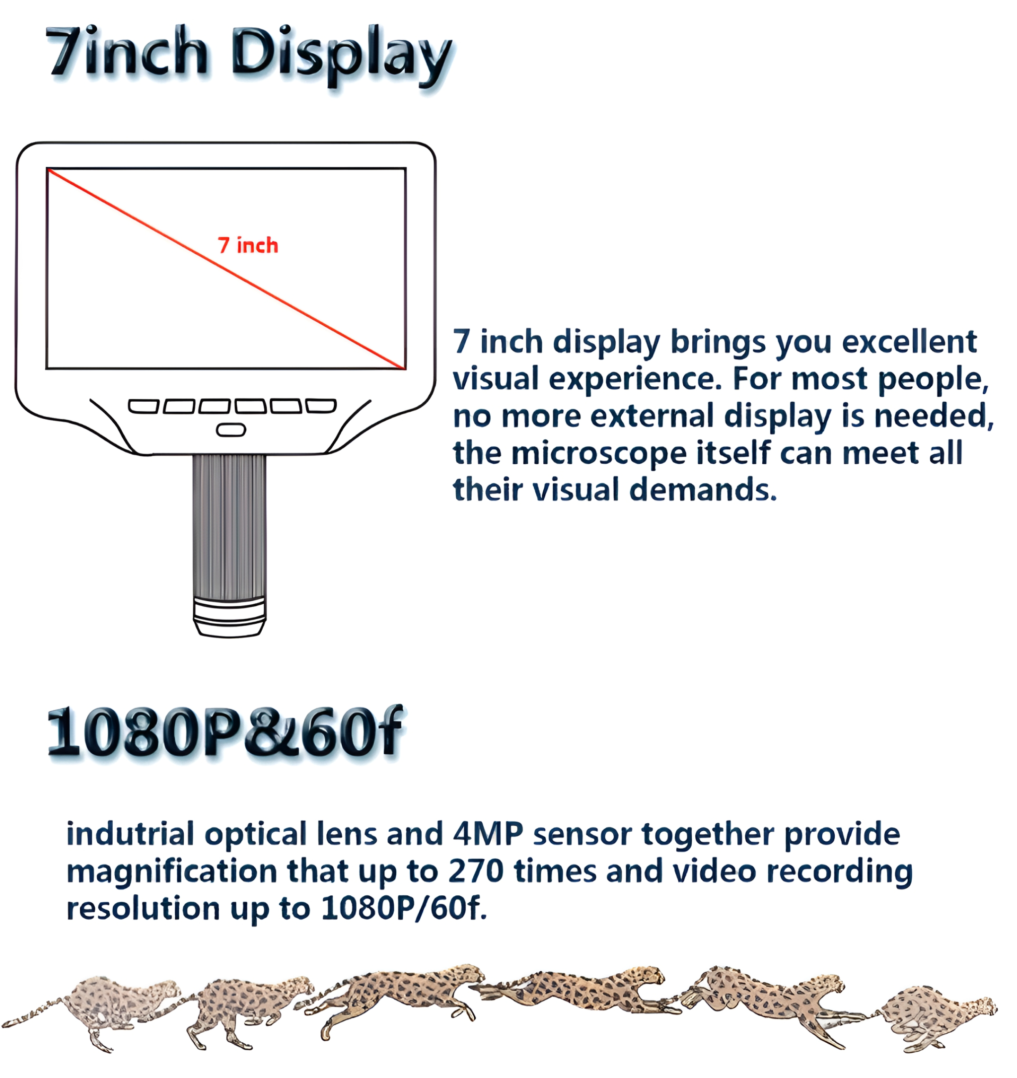 Ein 7-Zoll-Display mit Text und laufenden Geparden darunter.
