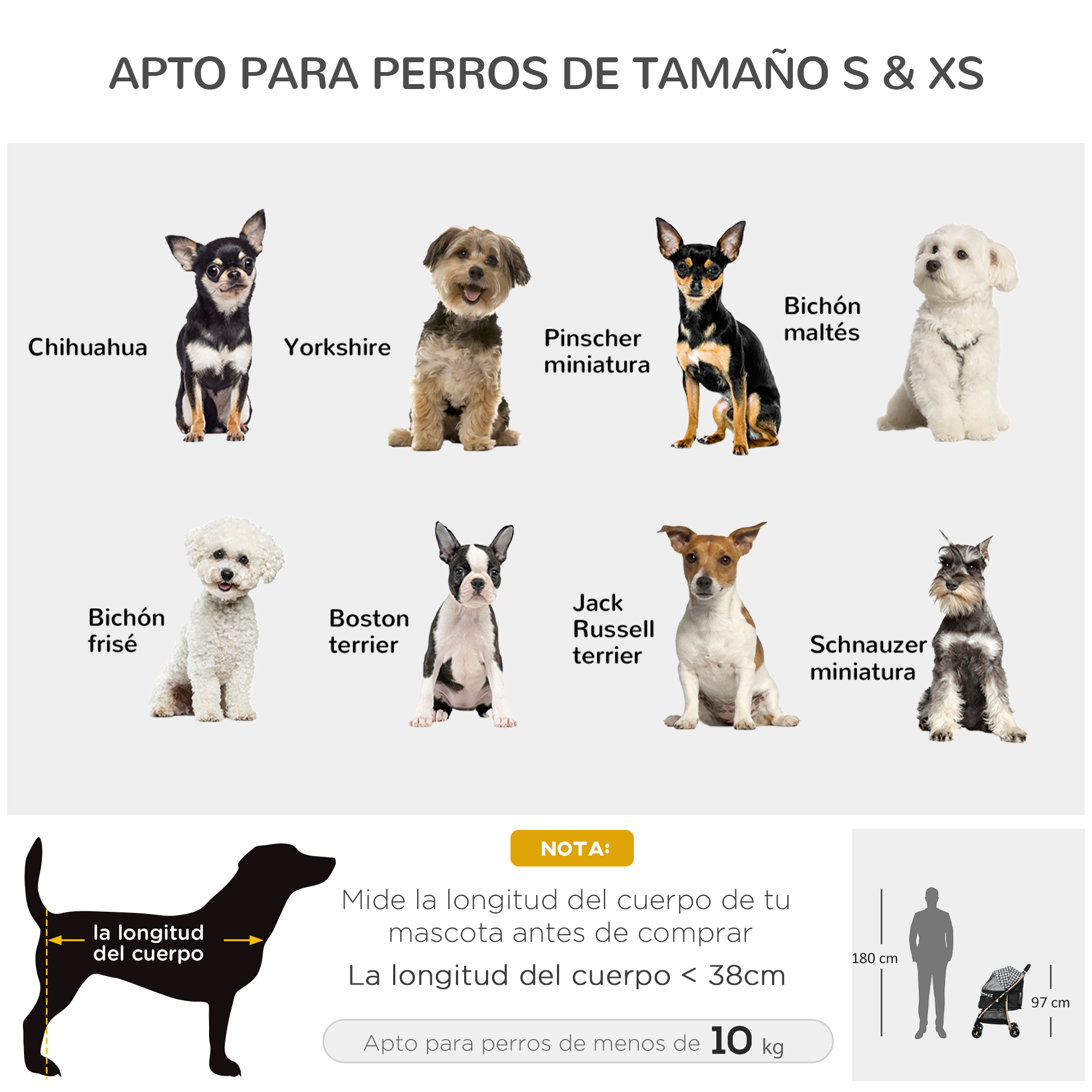 Varias razas de perros con texto sobre la longitud del cuerpo.