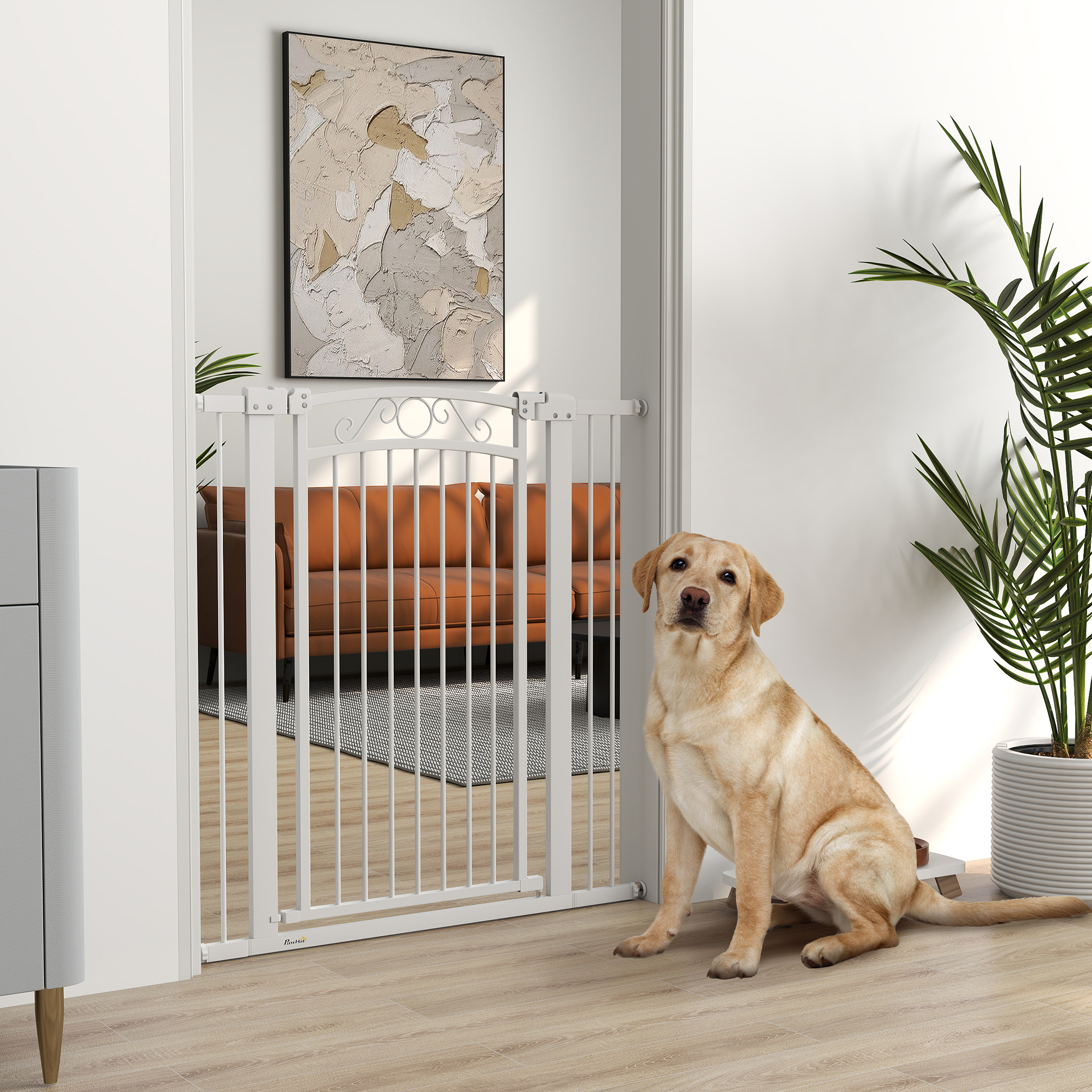 Un perro sentado detrás de una puerta blanca. En el fondo, se ve una sala de estar con un sofá marrón.