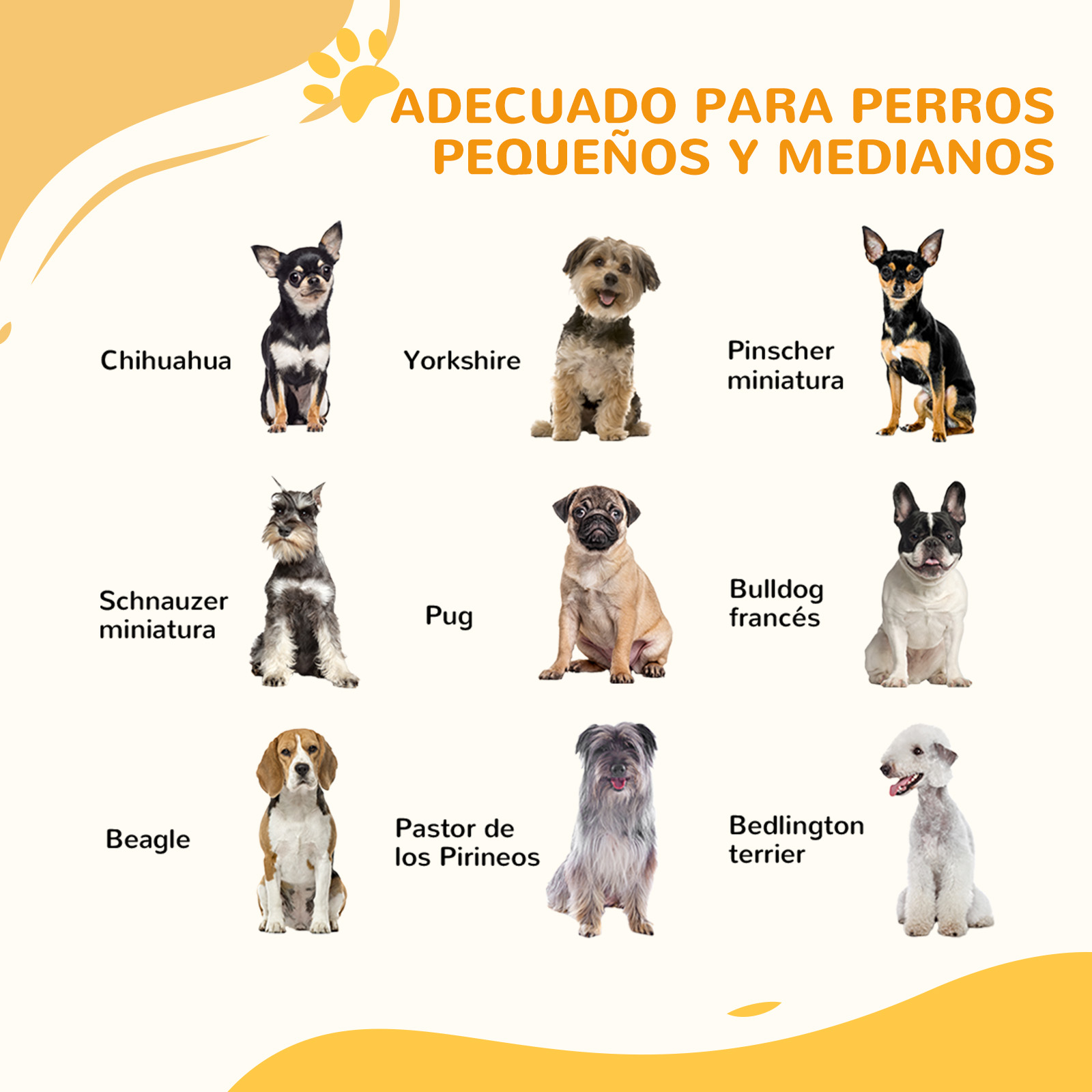 Se muestran nueve razas de perros: Chihuahua, Yorkshire, Pinscher, Schnauzer, Pug, Bulldog, Beagle, Pirineos y Bedlington.