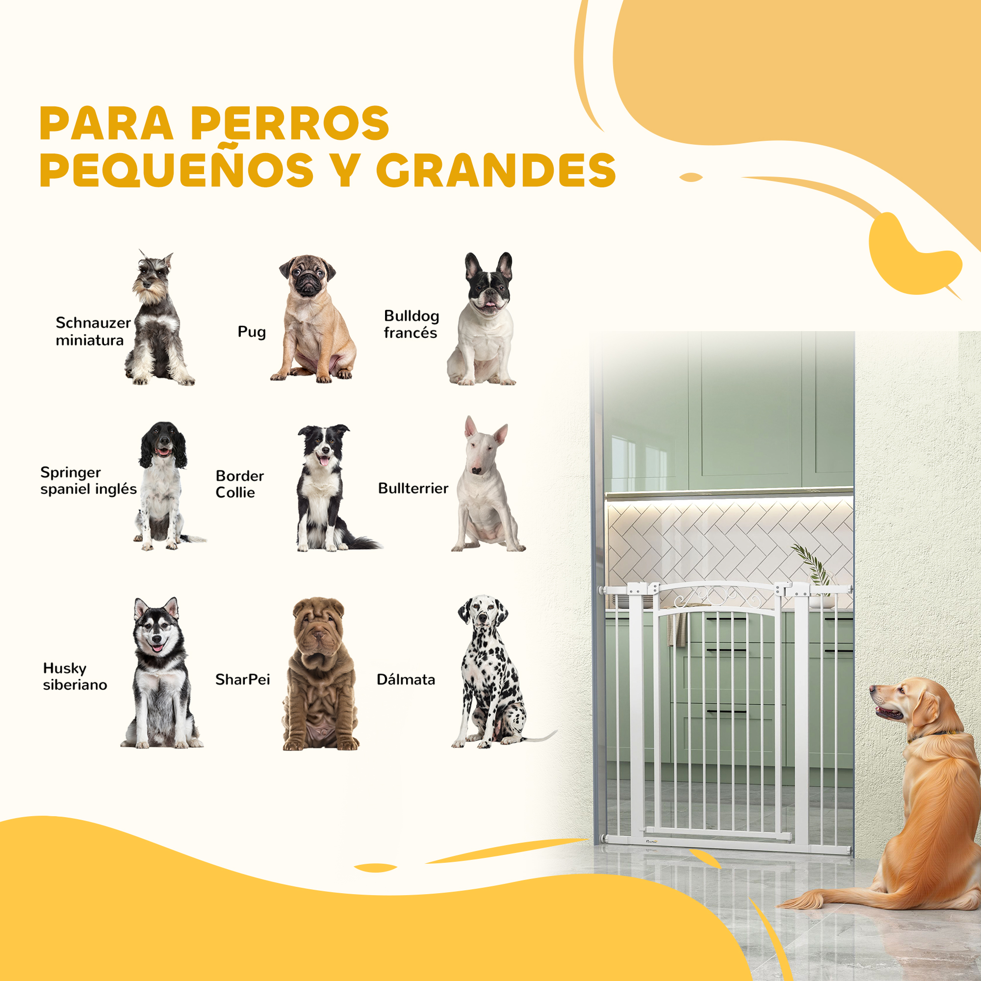 Se muestra un grupo de varias razas de perros, incluido un golden retriever, en un parque.