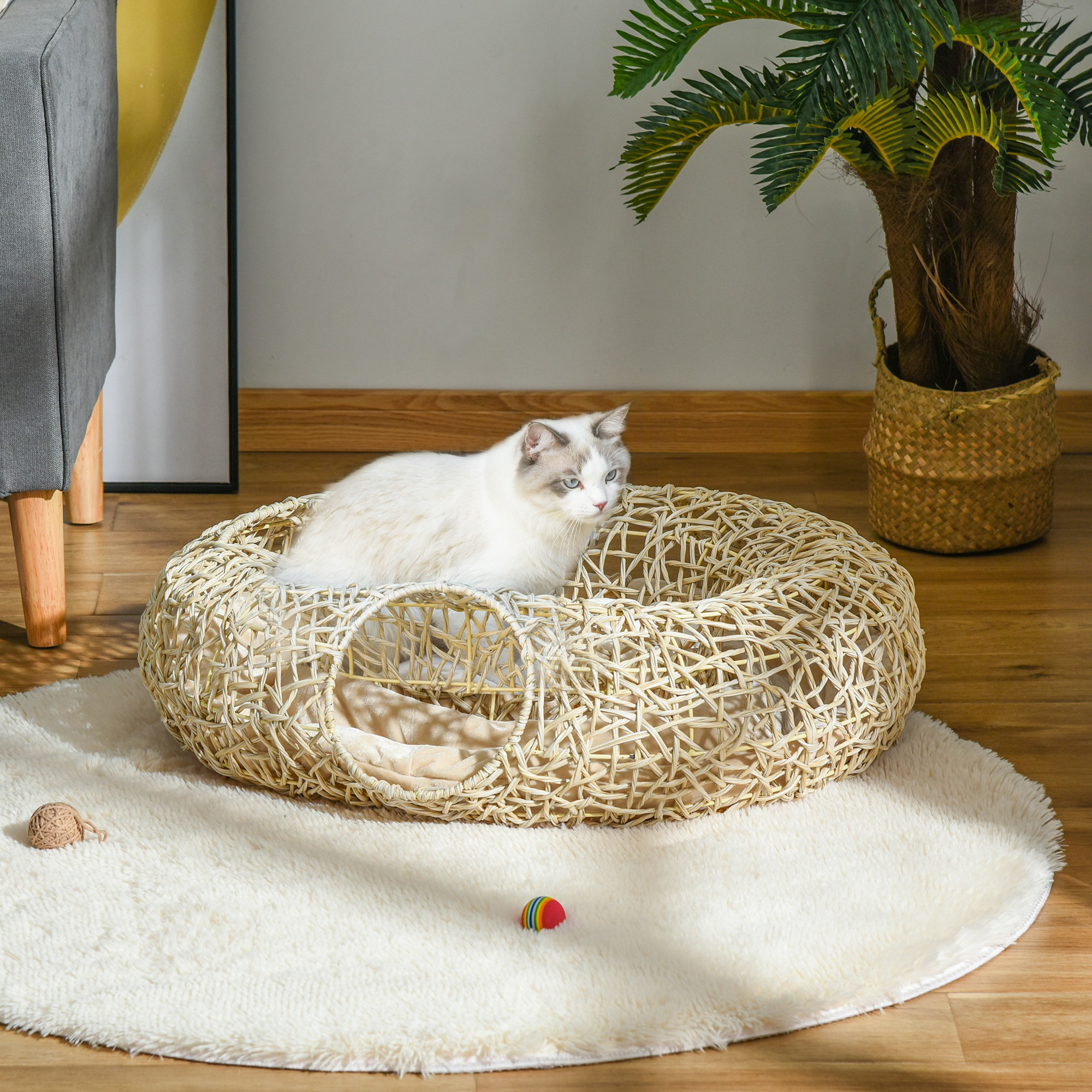 Un gato blanco en una cama tejida para gatos sobre una alfombra con una pelota y una palmera pequeña.