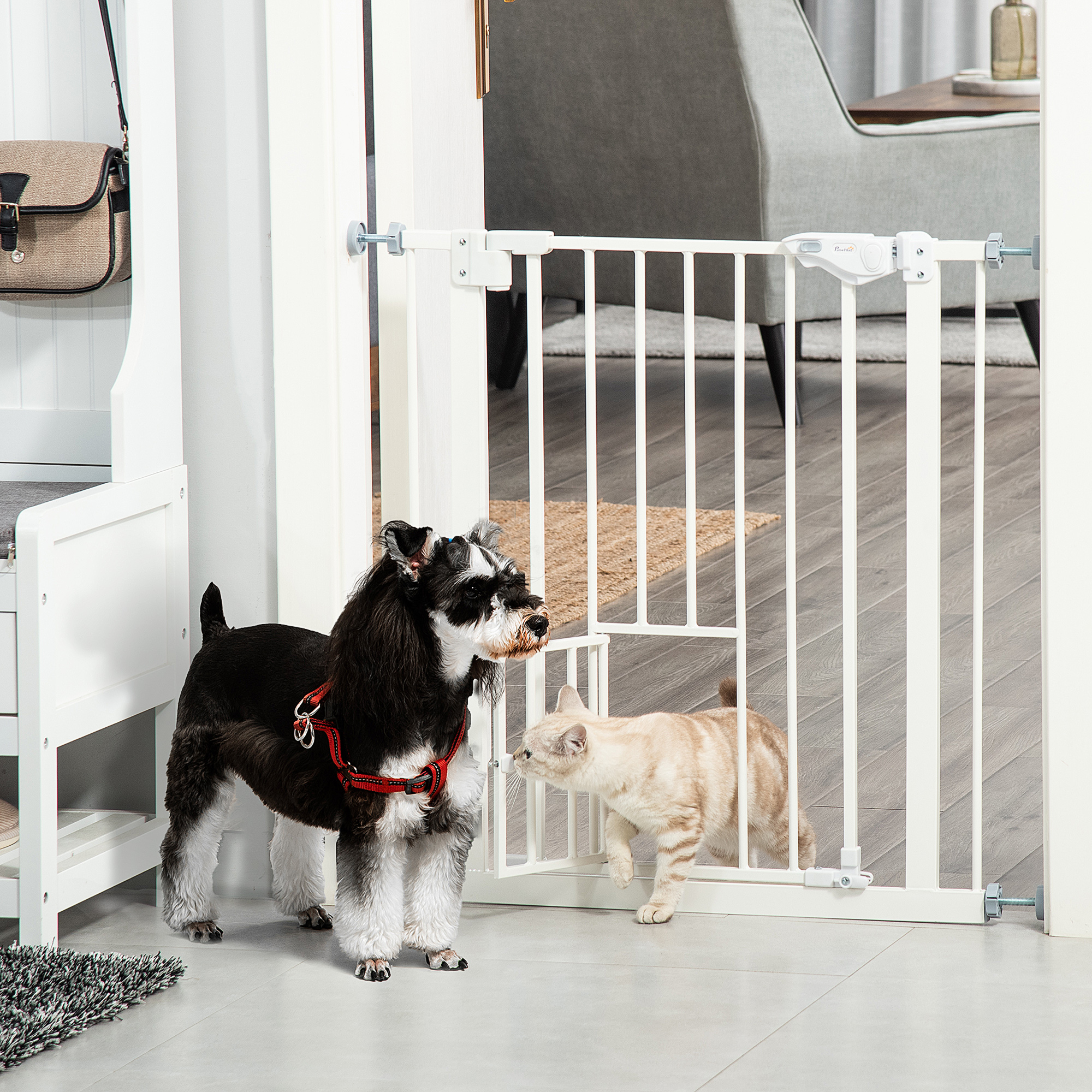 Un perro y un gato se miran a través de una puerta para mascotas blanca. El perro es blanco y negro, el gato marrón claro.