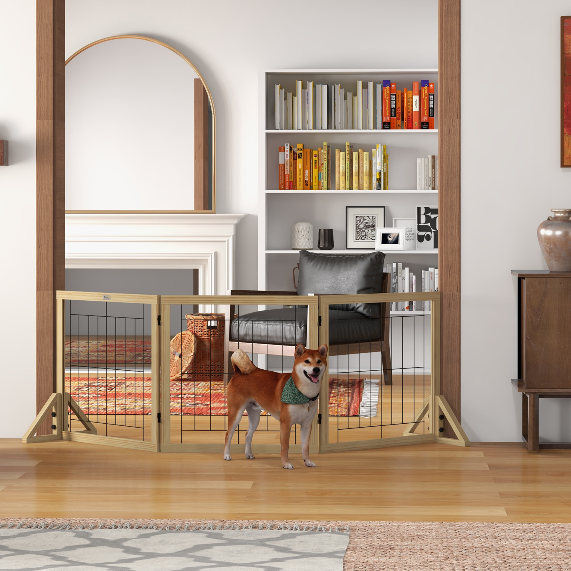 Un perro detrás de una puerta de madera en una habitación. Una estantería está en el fondo. Un espejo está presente.