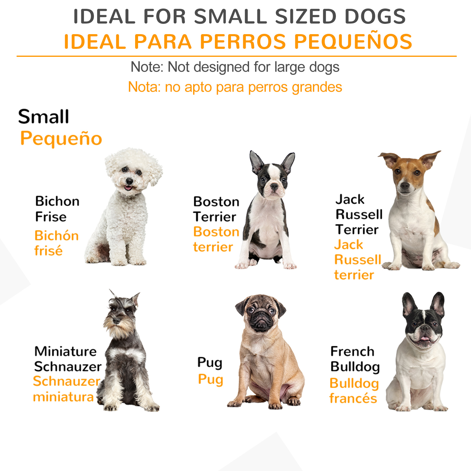 Diagrama con razas de perros, incluyendo Bichon Frise, Boston Terrier, Jack Russell Terrier, etc.