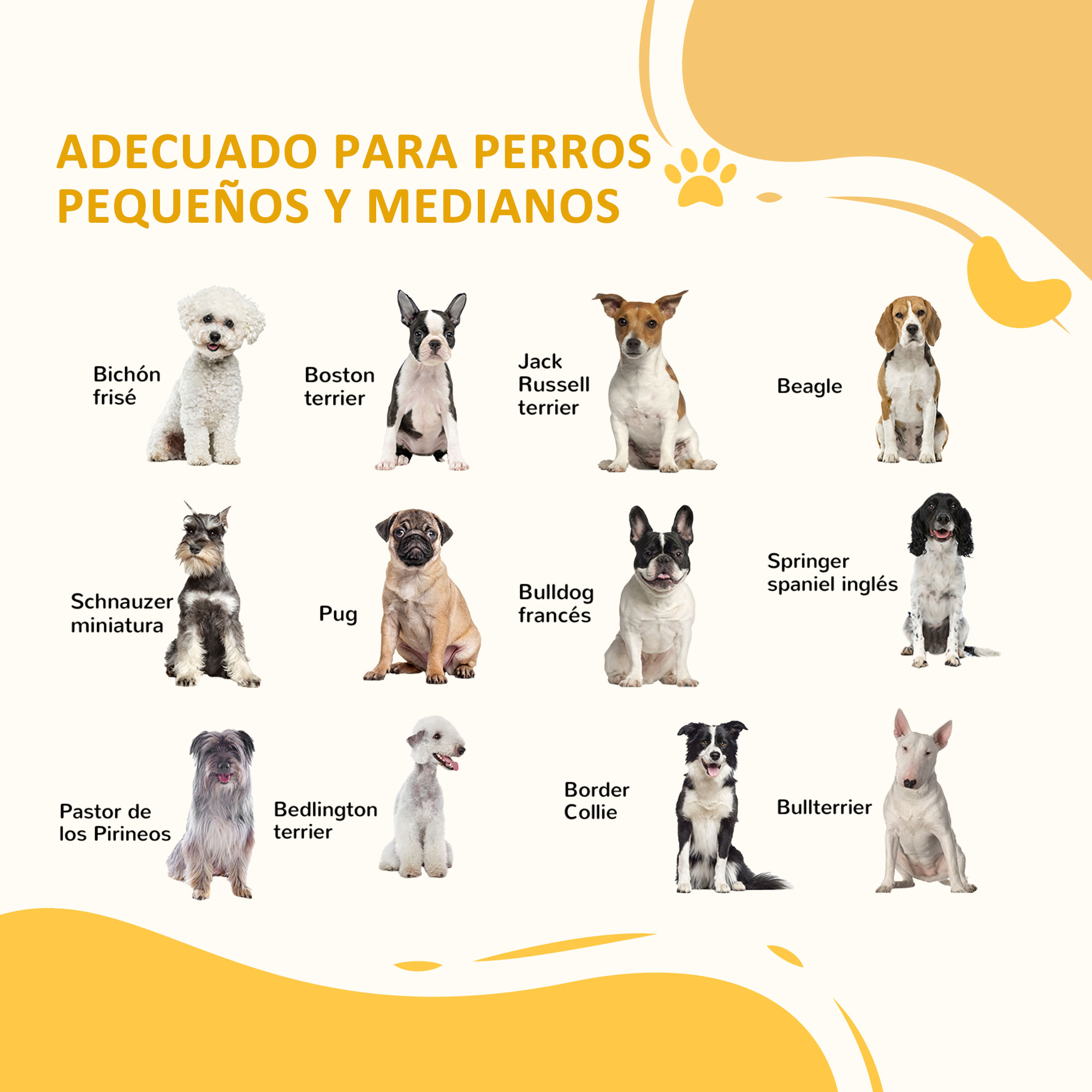 La imagen muestra diez razas de perros, incluyendo Bichon Frise, Boston Terrier, y Beagle, sobre un fondo amarillo.