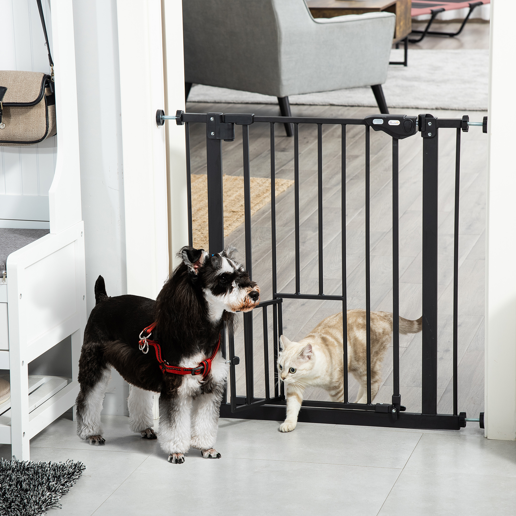 Un perro y un gato cerca de una barrera para bebés negra, la puerta está cerrada, el perro está delante y el gato dentro.
