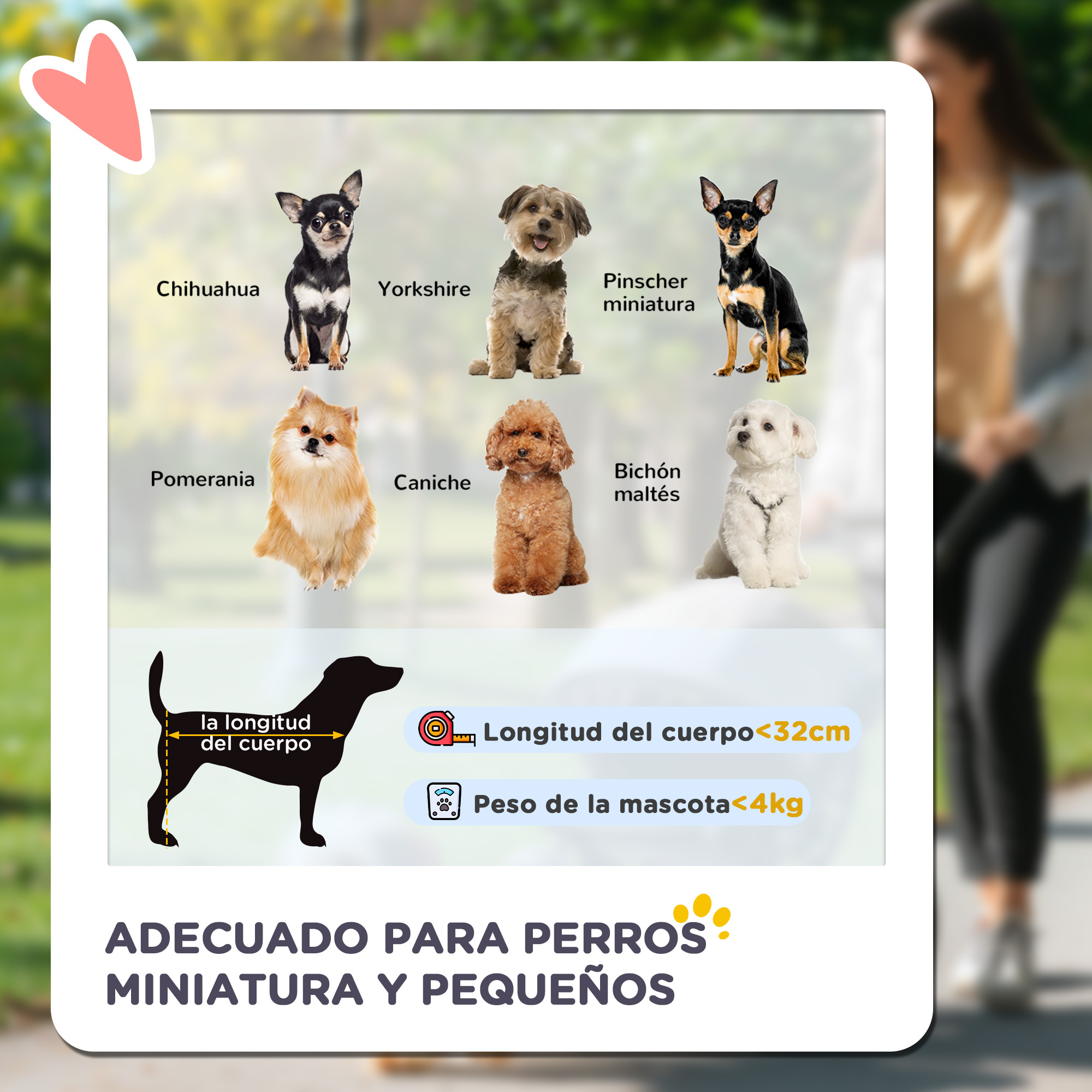 Diagrama de varias razas de perros pequeños con directrices de tamaño y peso para perros en miniatura.