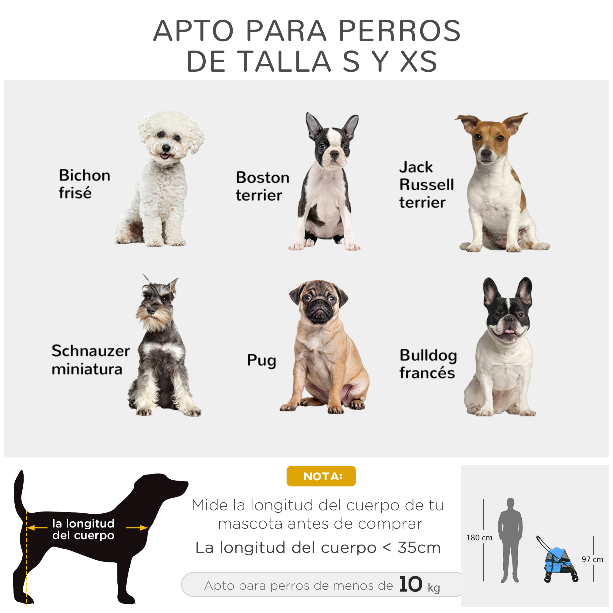 Diagrama con razas de perros, incluyendo Bichon Frise, Boston Terrier, Jack Russell y guías.
