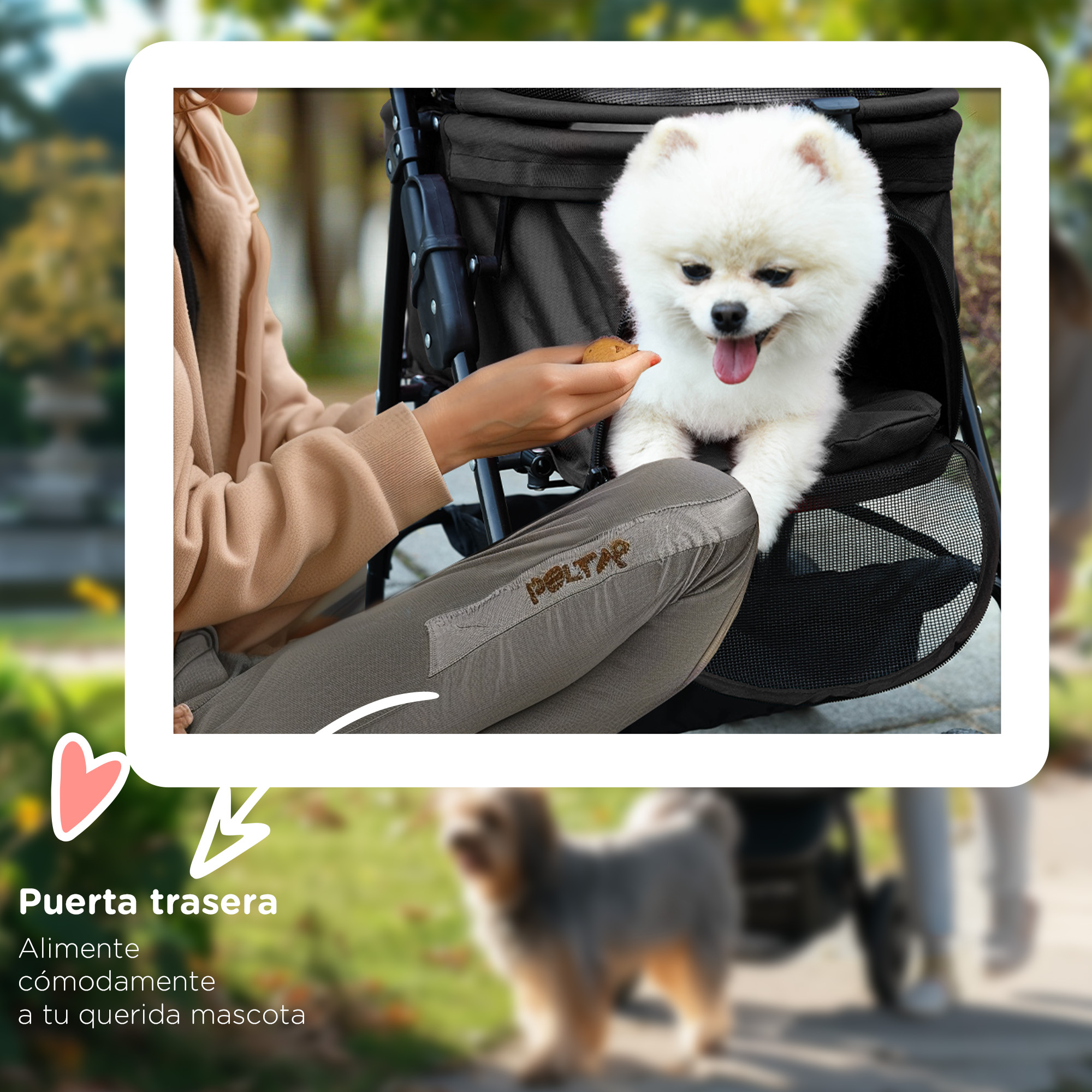 Una mujer alimenta a un perro blanco en un cochecito. El perro está emocionado, con la lengua fuera. Fondo: parque.