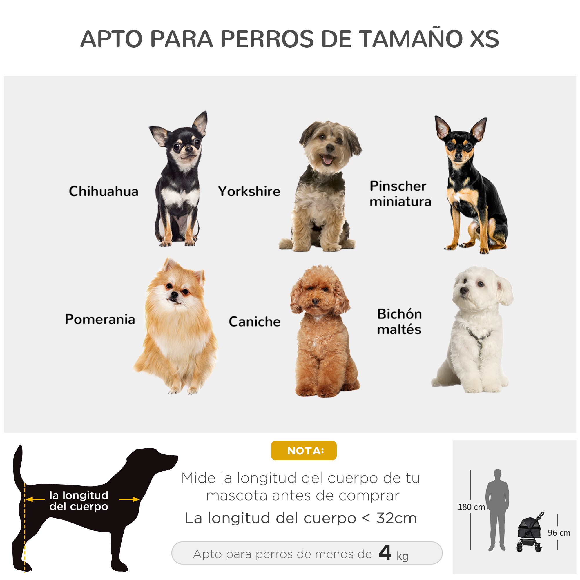 Razas de perros pequeños: Chihuahua, Yorkshire, Pinscher, Pomerania, Caniche, Maltés, con texto.