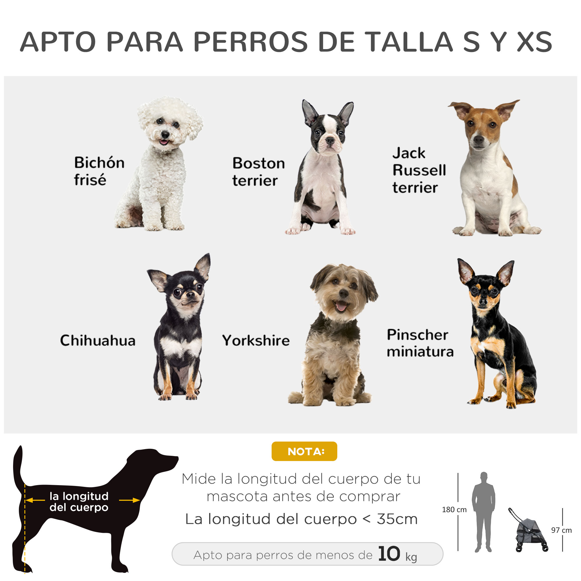 Ilustración de razas de perros: Bichon Frise, Boston Terrier, Jack Russell, Chihuahua, Yorkshire, Pinscher. Se muestra la longitud.