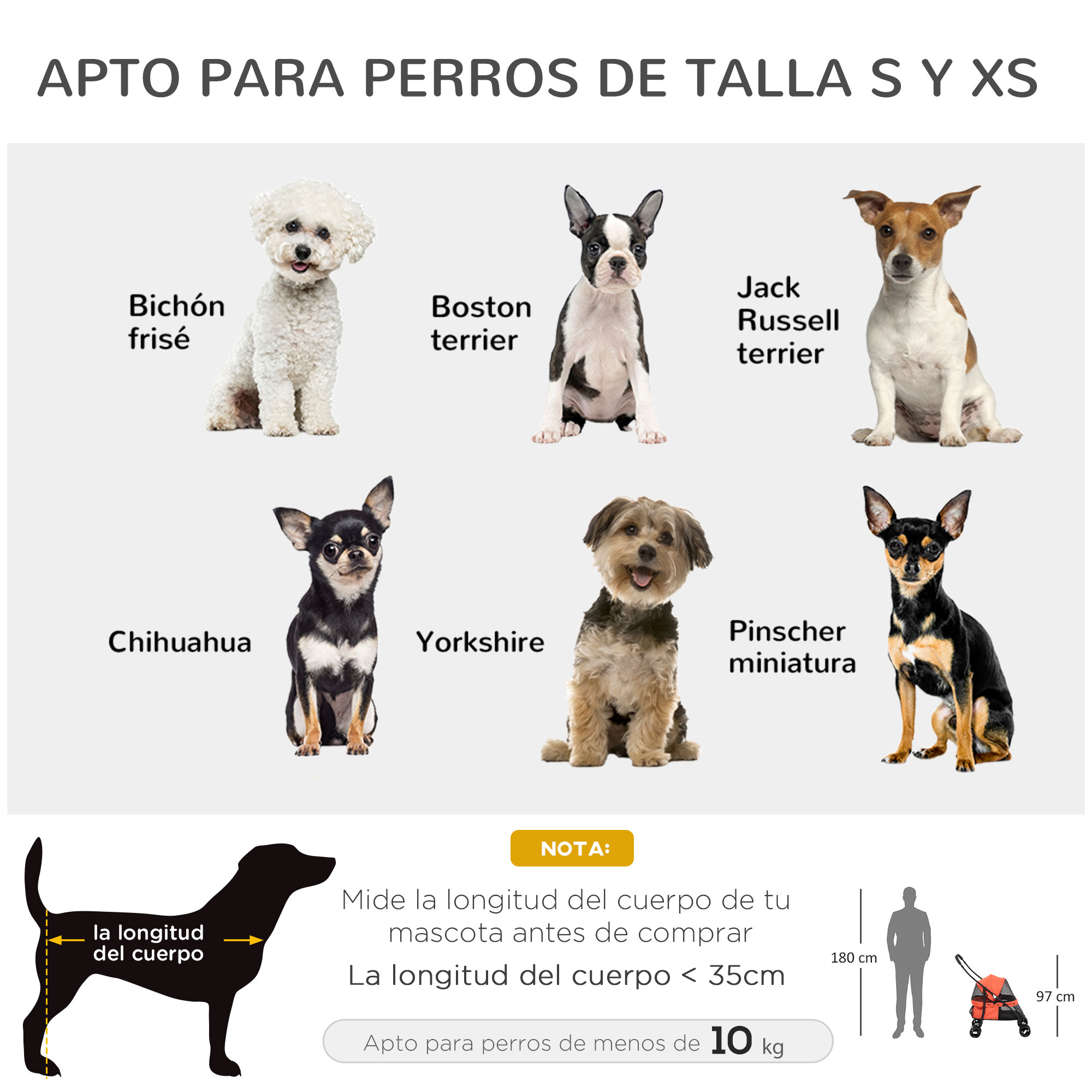 Imágenes de siete razas de perros con sus nombres. Texto describe el tamaño para producto para mascotas.