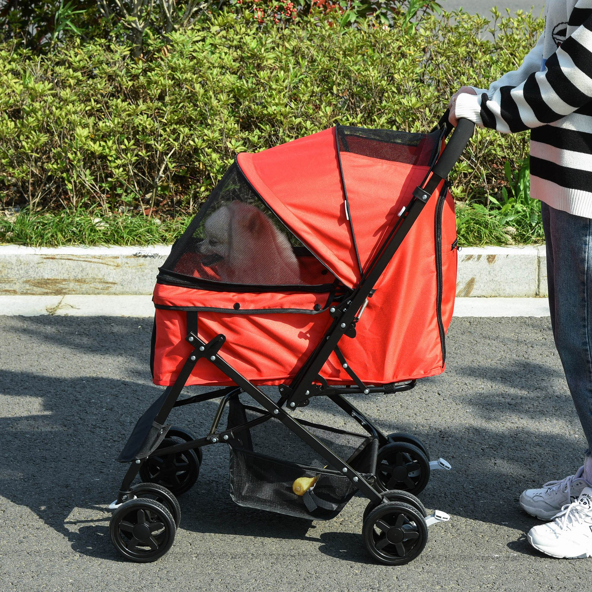 Una persona empujando un cochecito rojo para mascotas por un camino, con un perro visible dentro.