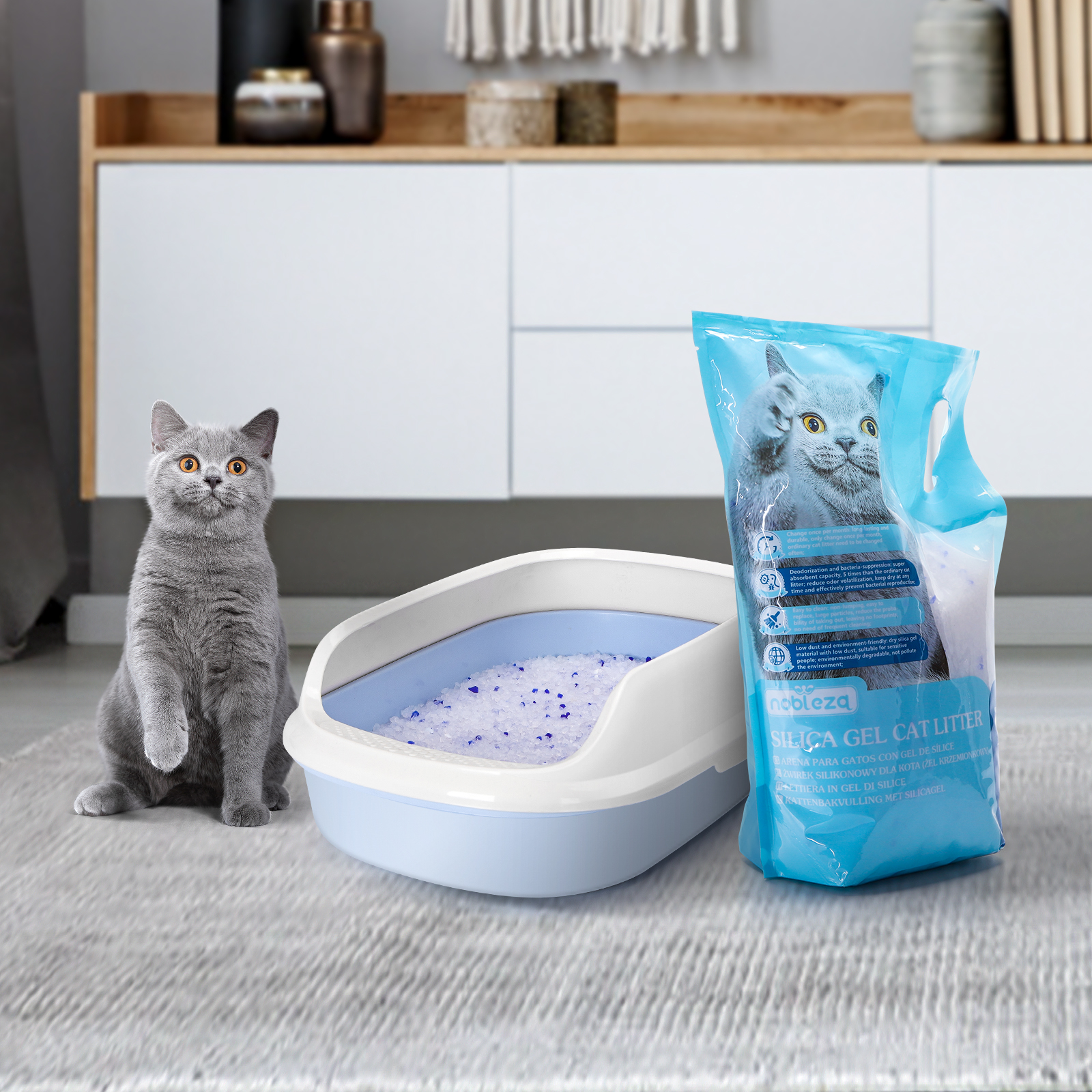 Gato gris sentado cerca de una caja de arena azul y una bolsa de arena de gel de sílice.