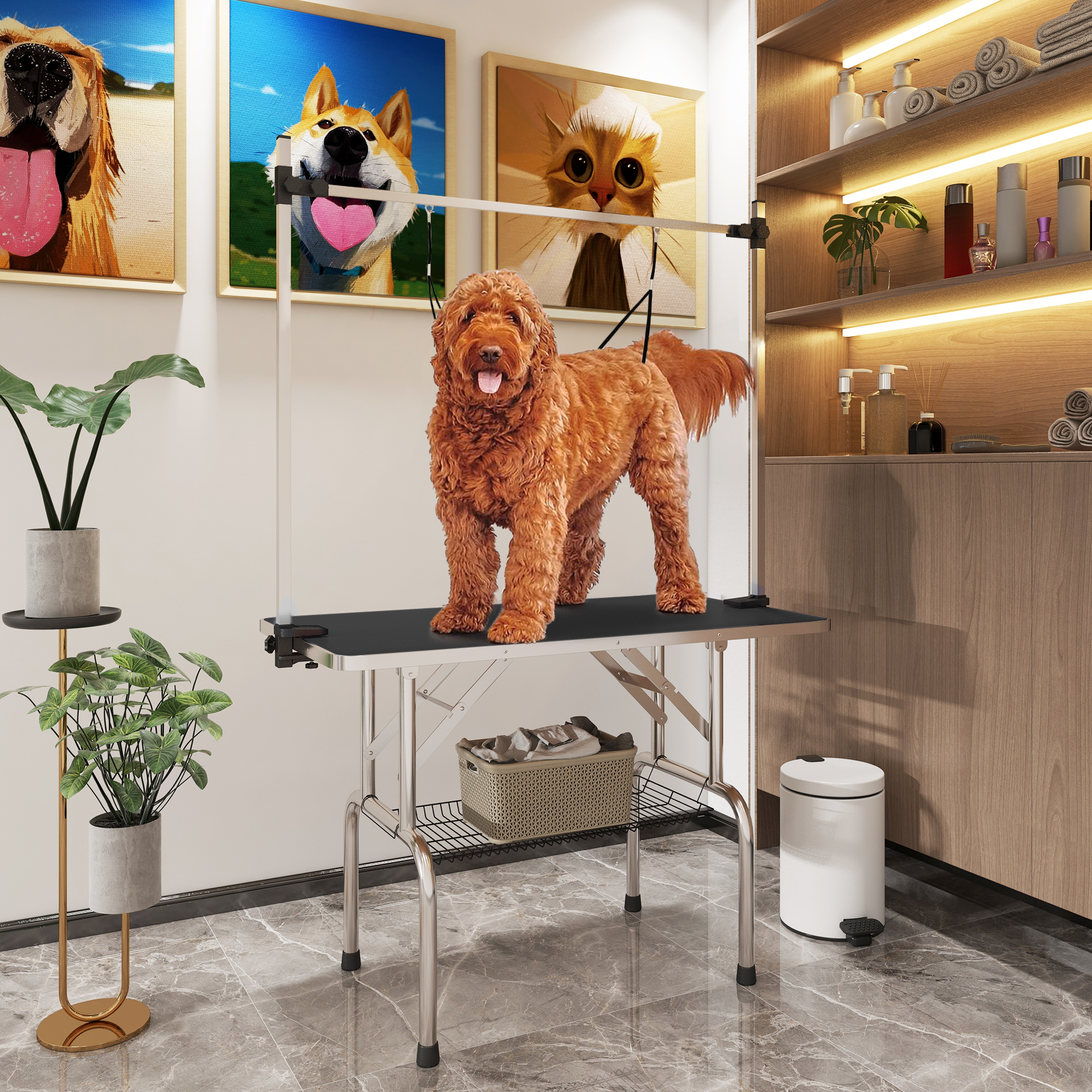 Hundepflegestation mit einem braunen Hund. Der Raum hat Bilder und Regale mit Produkten.