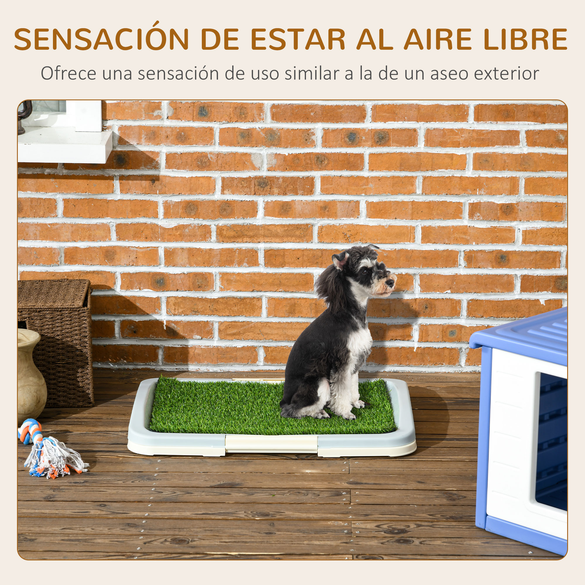 Un perro pequeño sobre césped artificial en el interior. Una pared de ladrillo está al fondo.