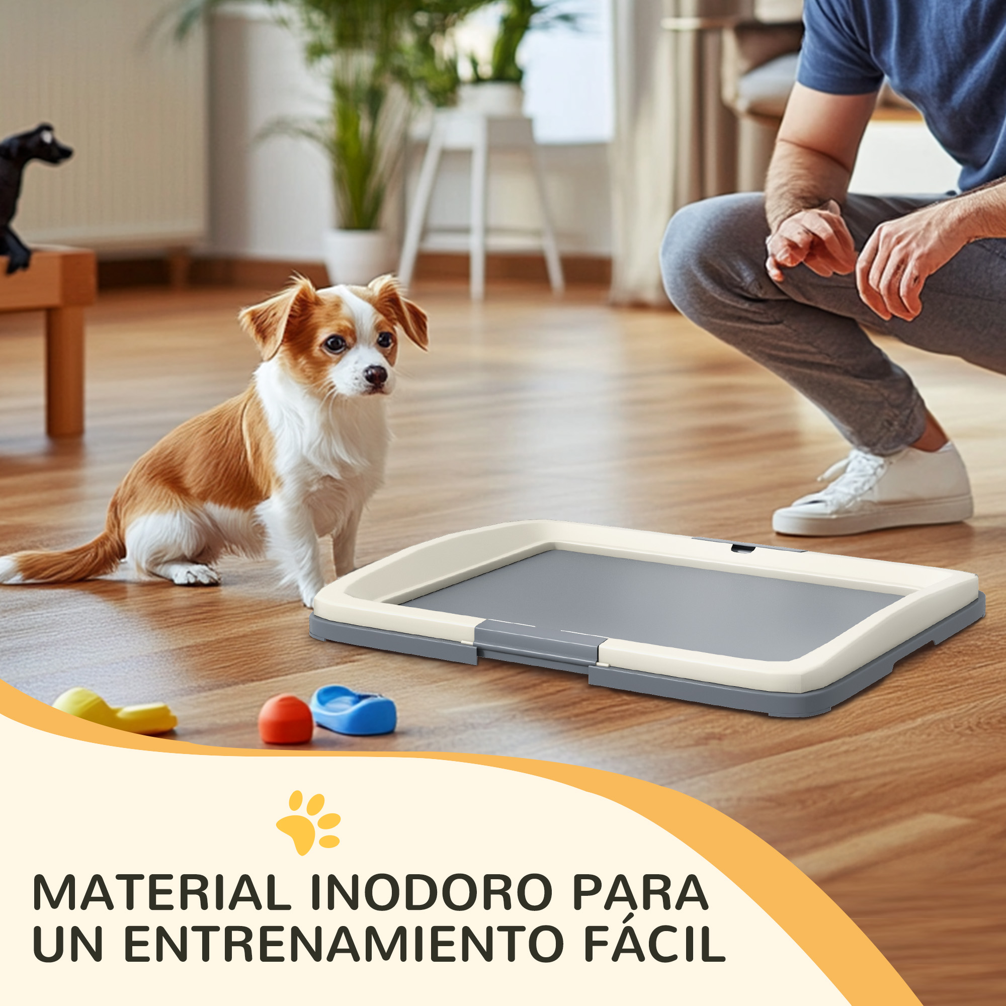Perro cerca de almohadilla para perros, hombre detrás.
