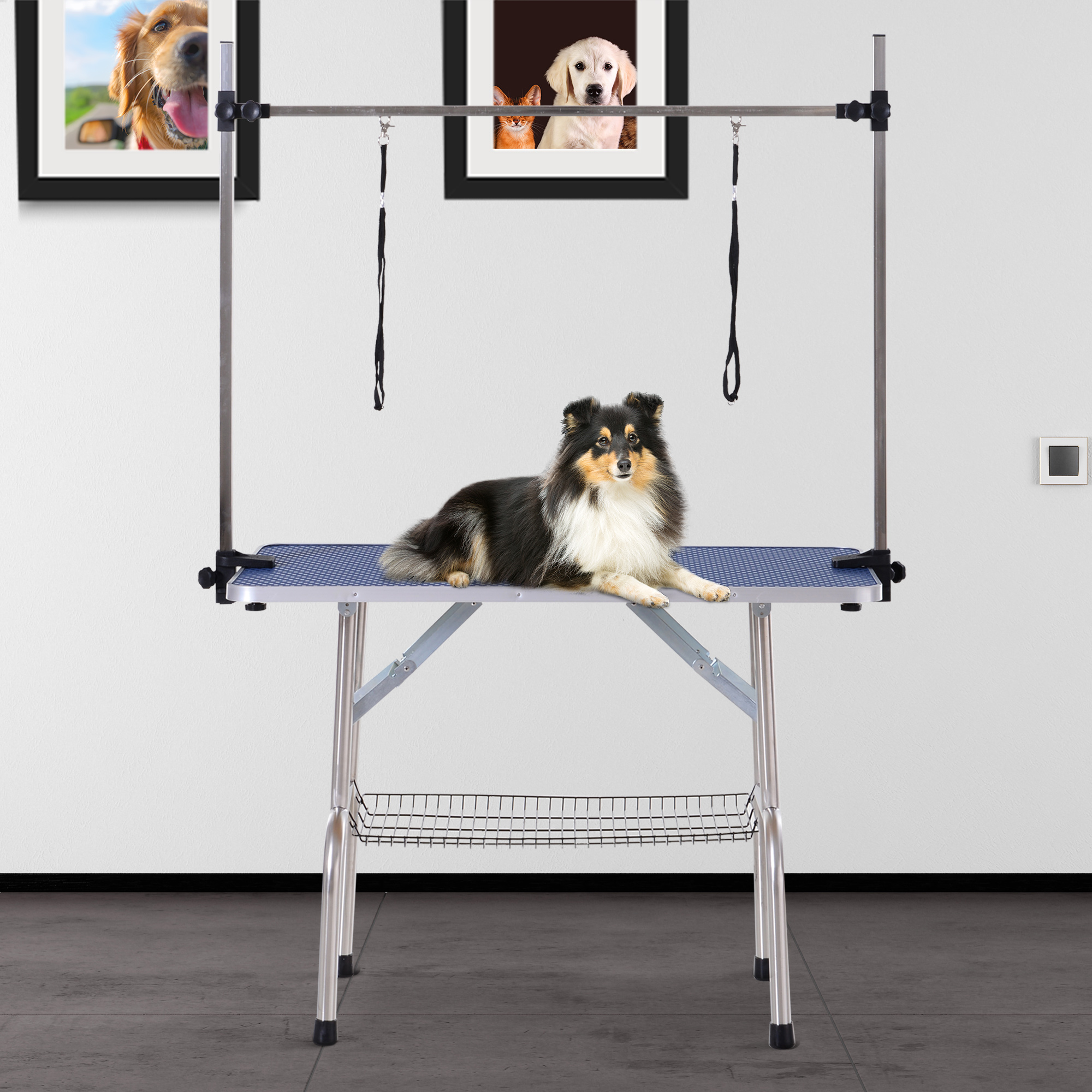 Mesa de aseo para perros con un perro encima y fotos enmarcadas en la pared.