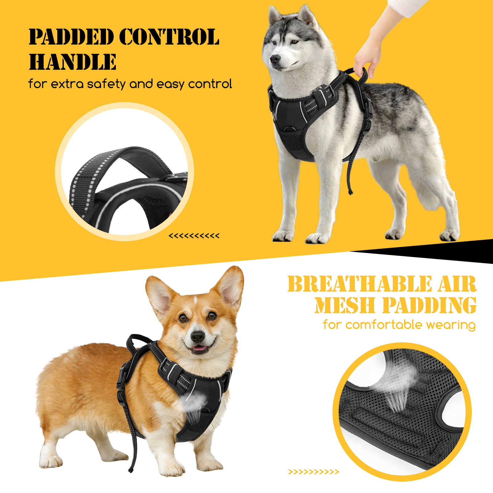 Arneses para perros. Uno en un husky, otro en un corgi. Muestra asa acolchada y malla transpirable.