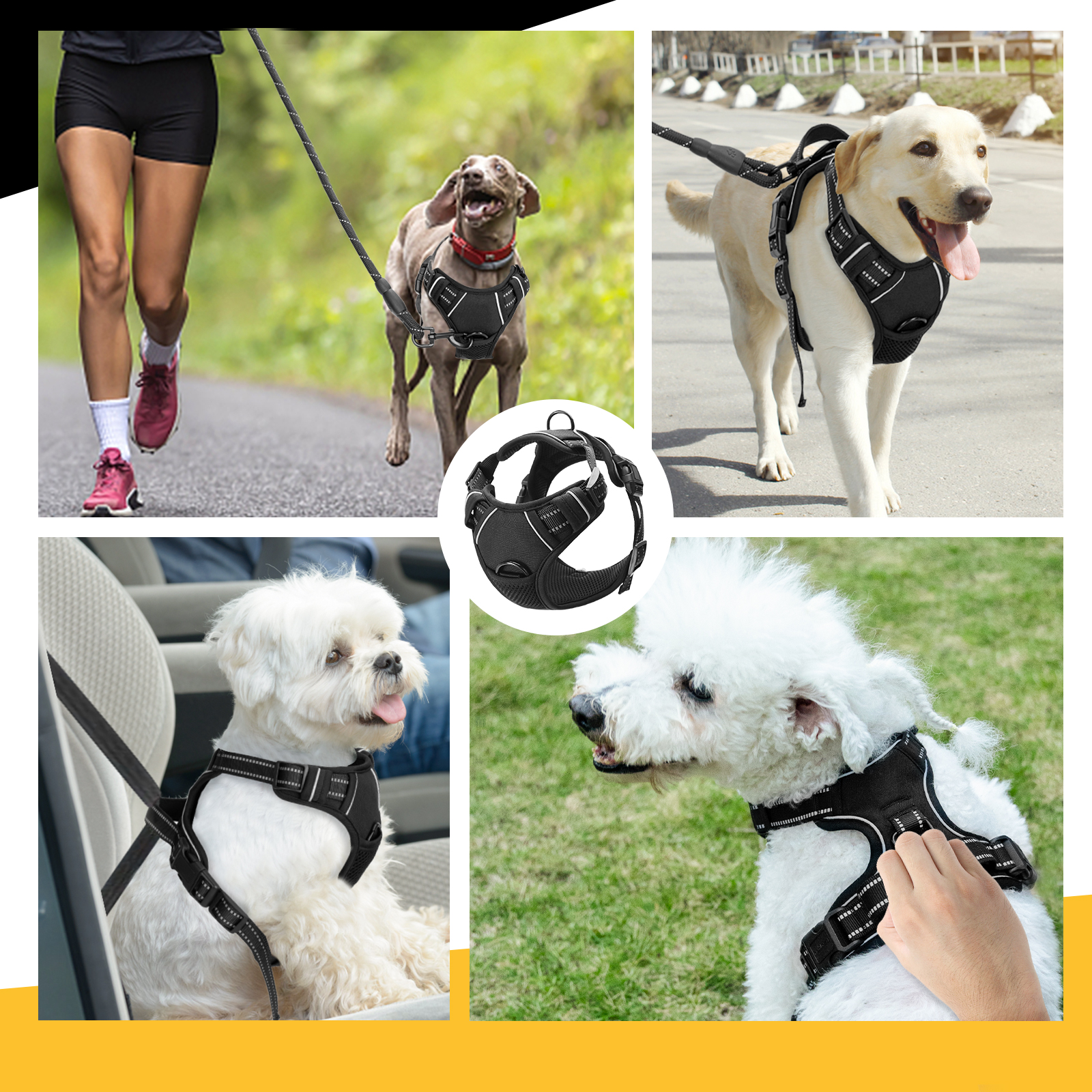 Collage de perros con arneses, corriendo con el dueño, caminando y en un coche. Se muestran diferentes razas.